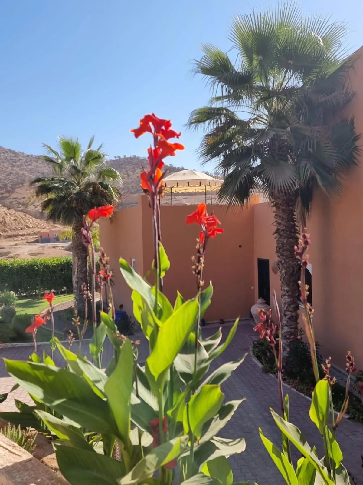 Garden in Riad Asmaa Agadir