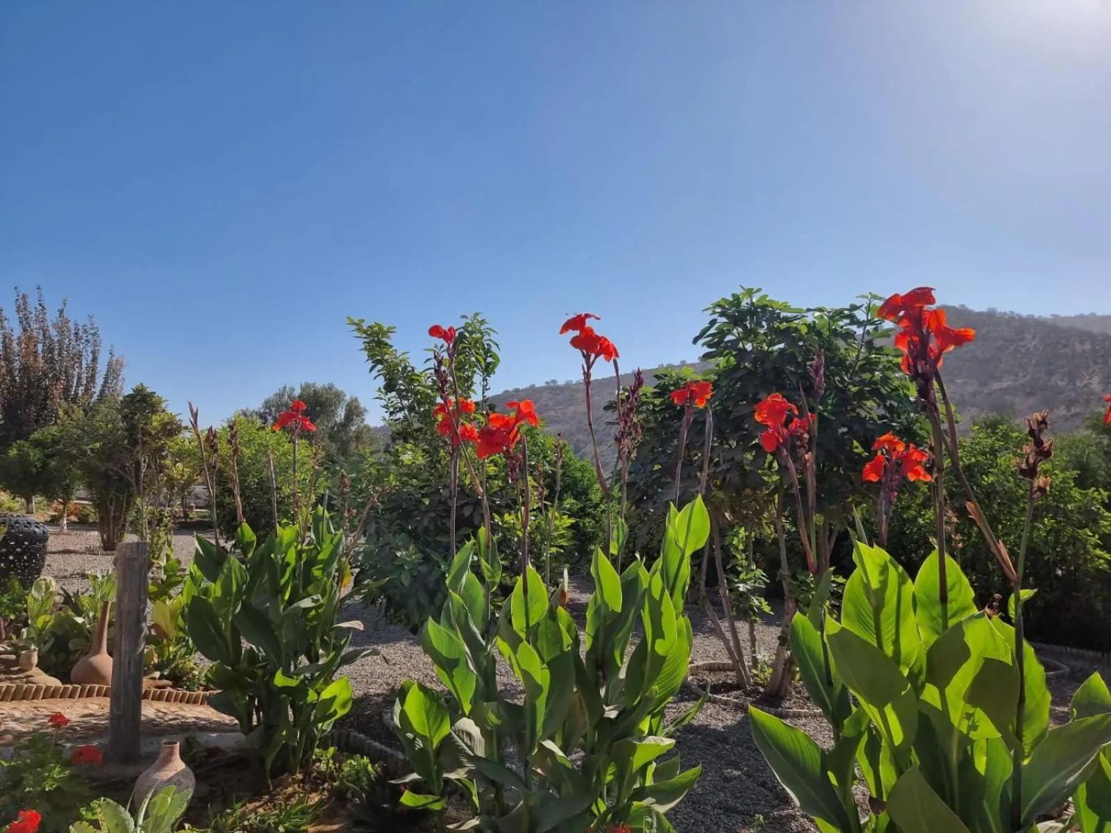 Natural landscape in Riad Asmaa Agadir