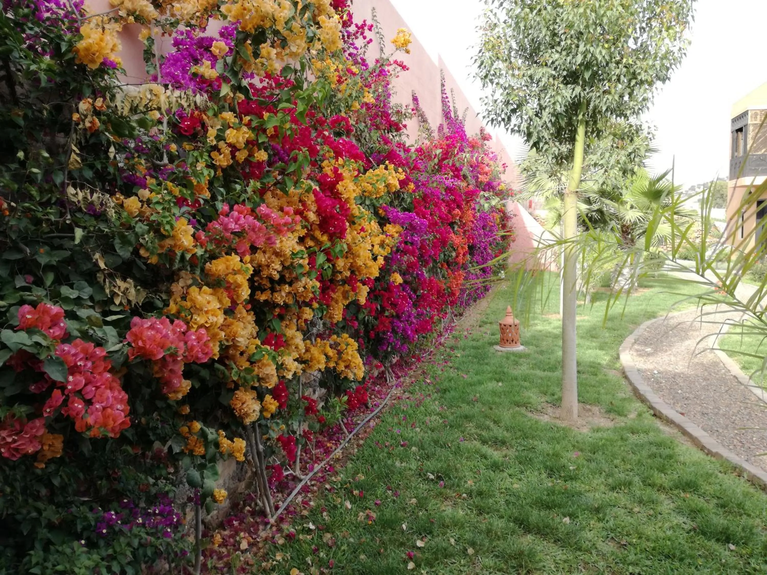 Garden in Riad Asmaa Agadir