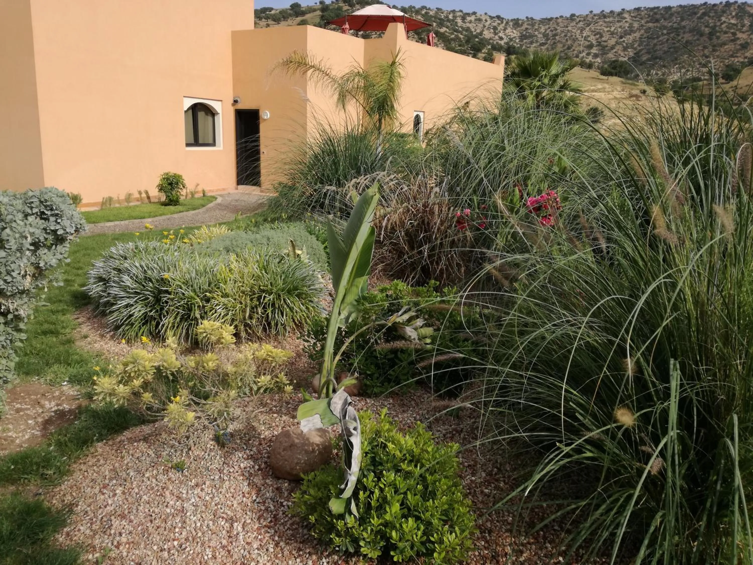 Garden in Riad Asmaa Agadir