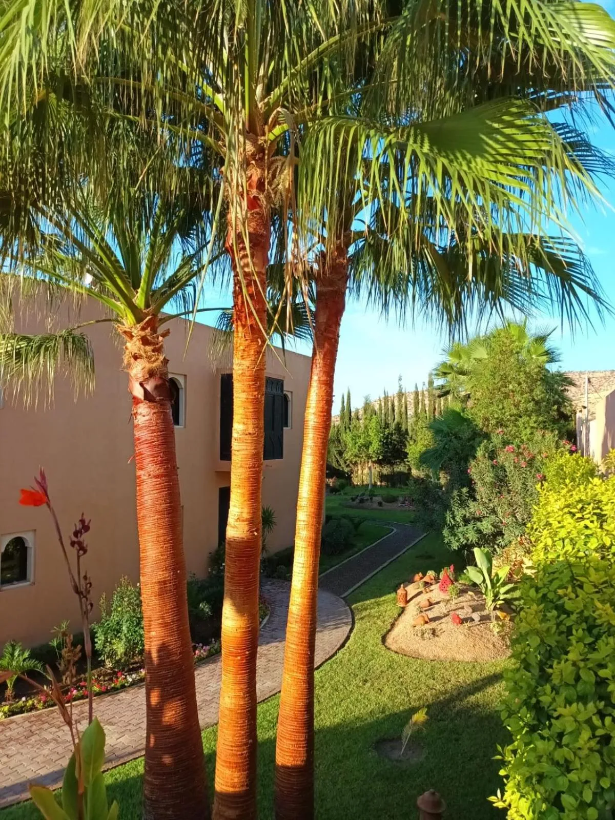 Garden in Riad Asmaa Agadir