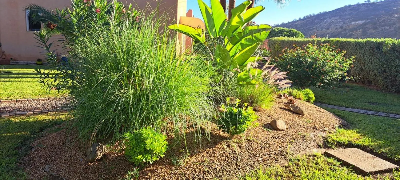 Garden in Riad Asmaa Agadir