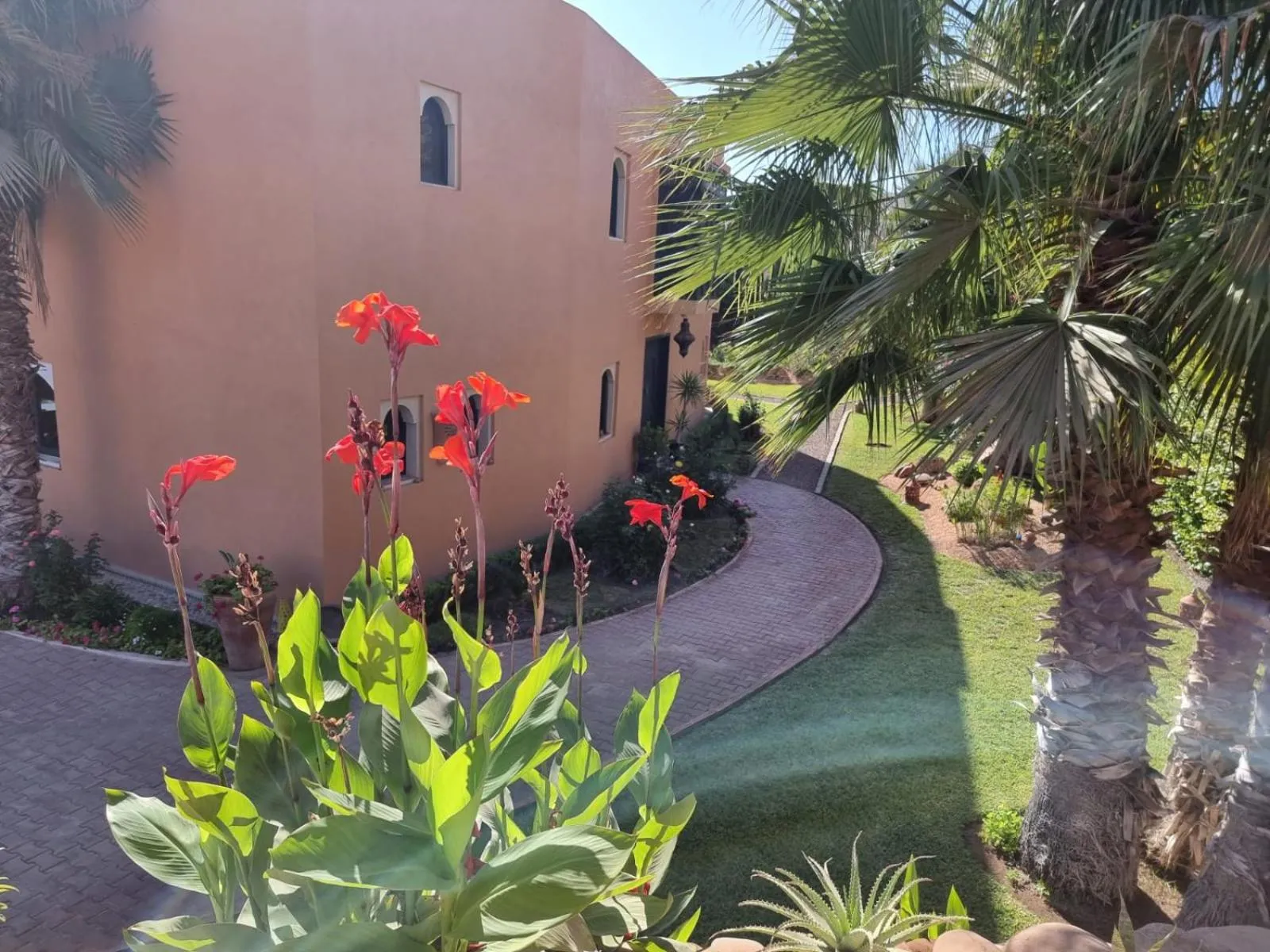 Garden in Riad Asmaa Agadir