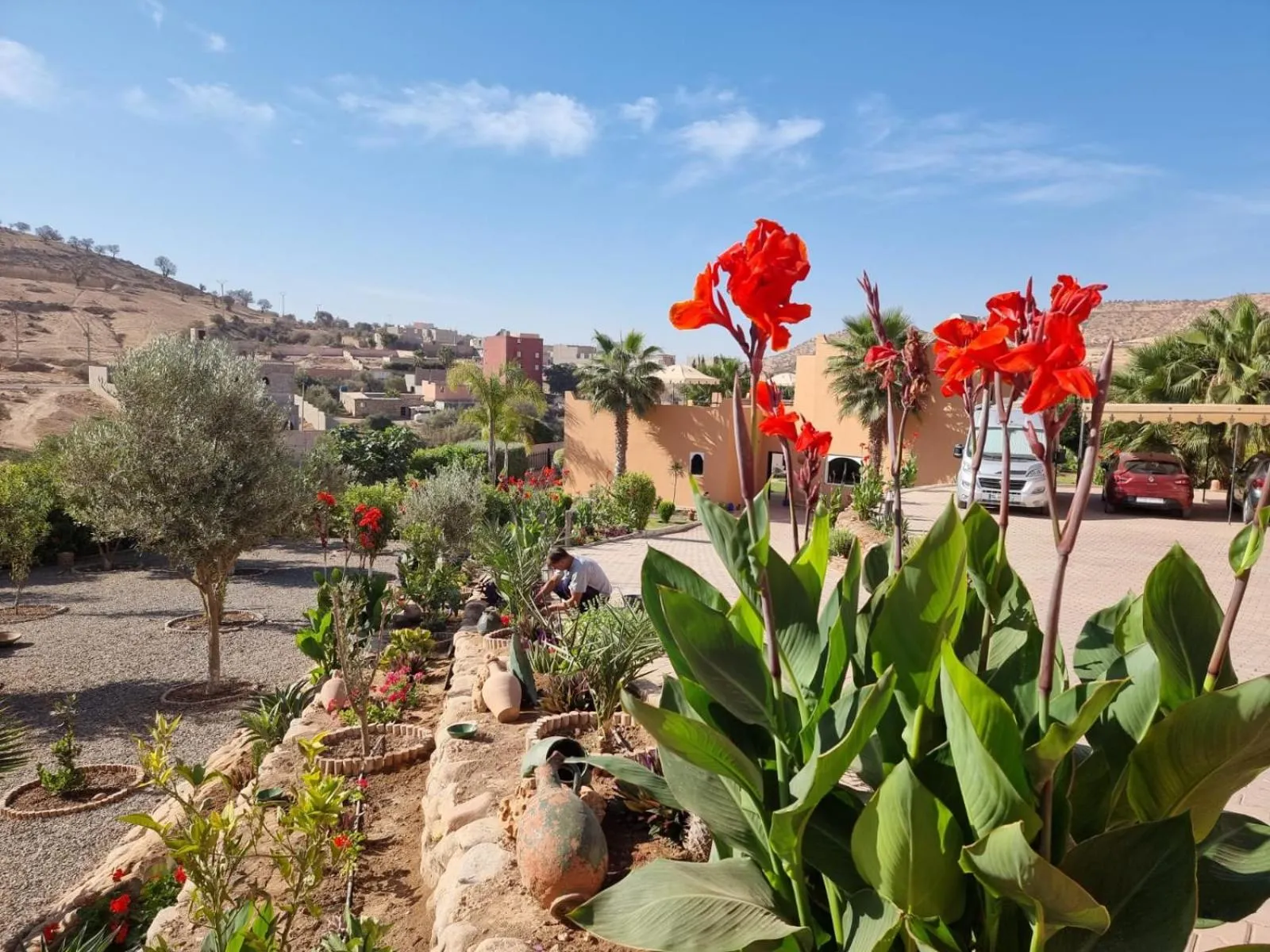 Garden in Riad Asmaa Agadir
