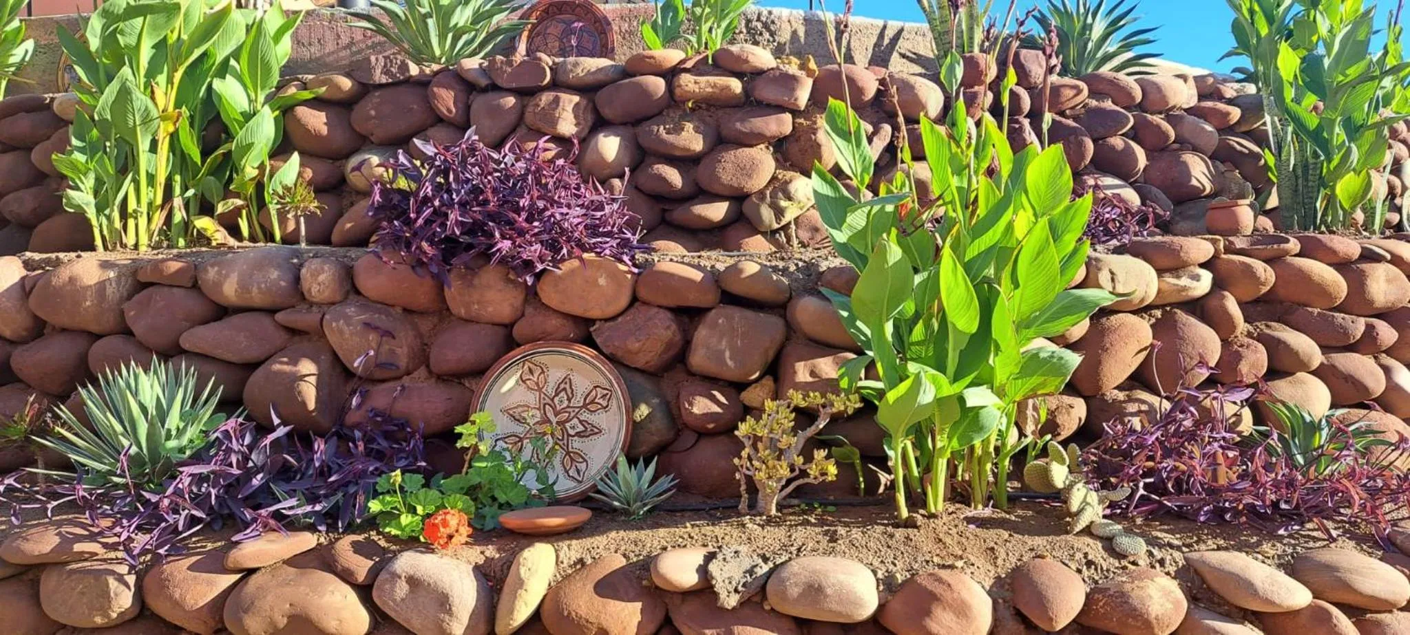 Garden in Riad Asmaa Agadir
