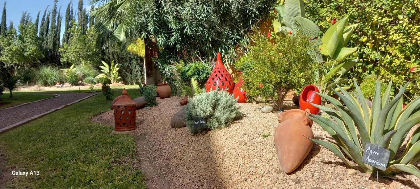 Garden in Riad Asmaa Agadir