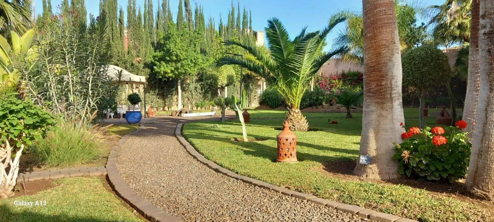 Garden in Riad Asmaa Agadir