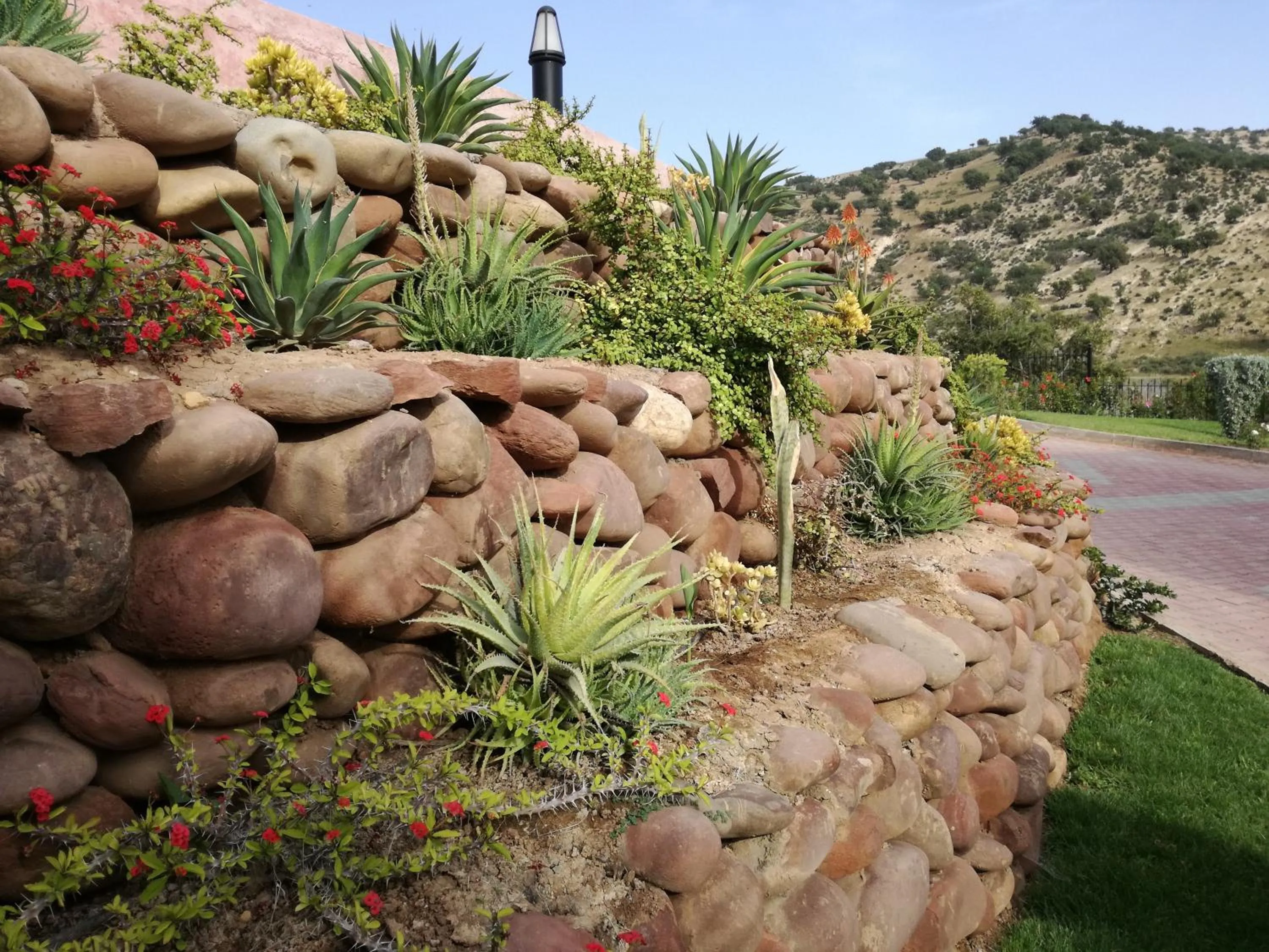 Garden in Riad Asmaa Agadir