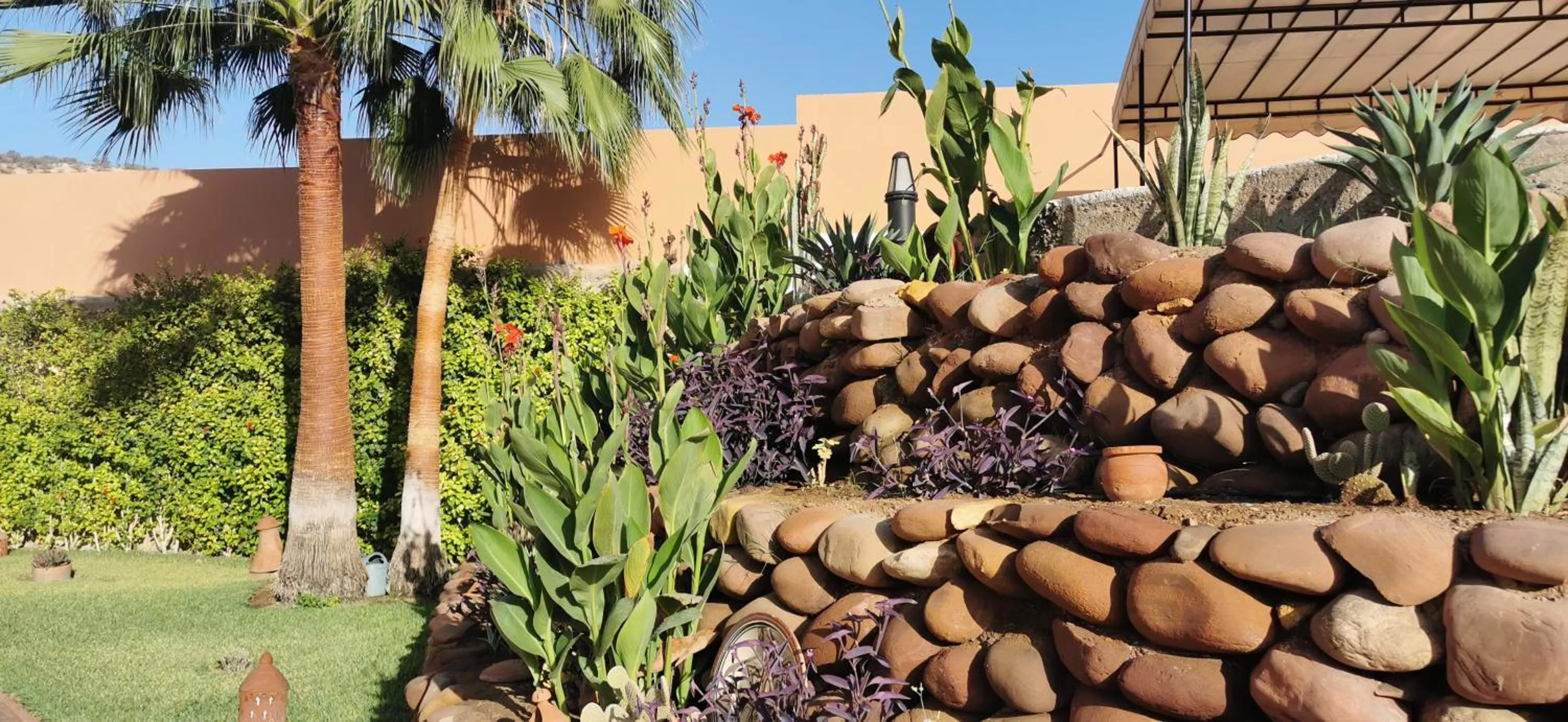 Garden in Riad Asmaa Agadir