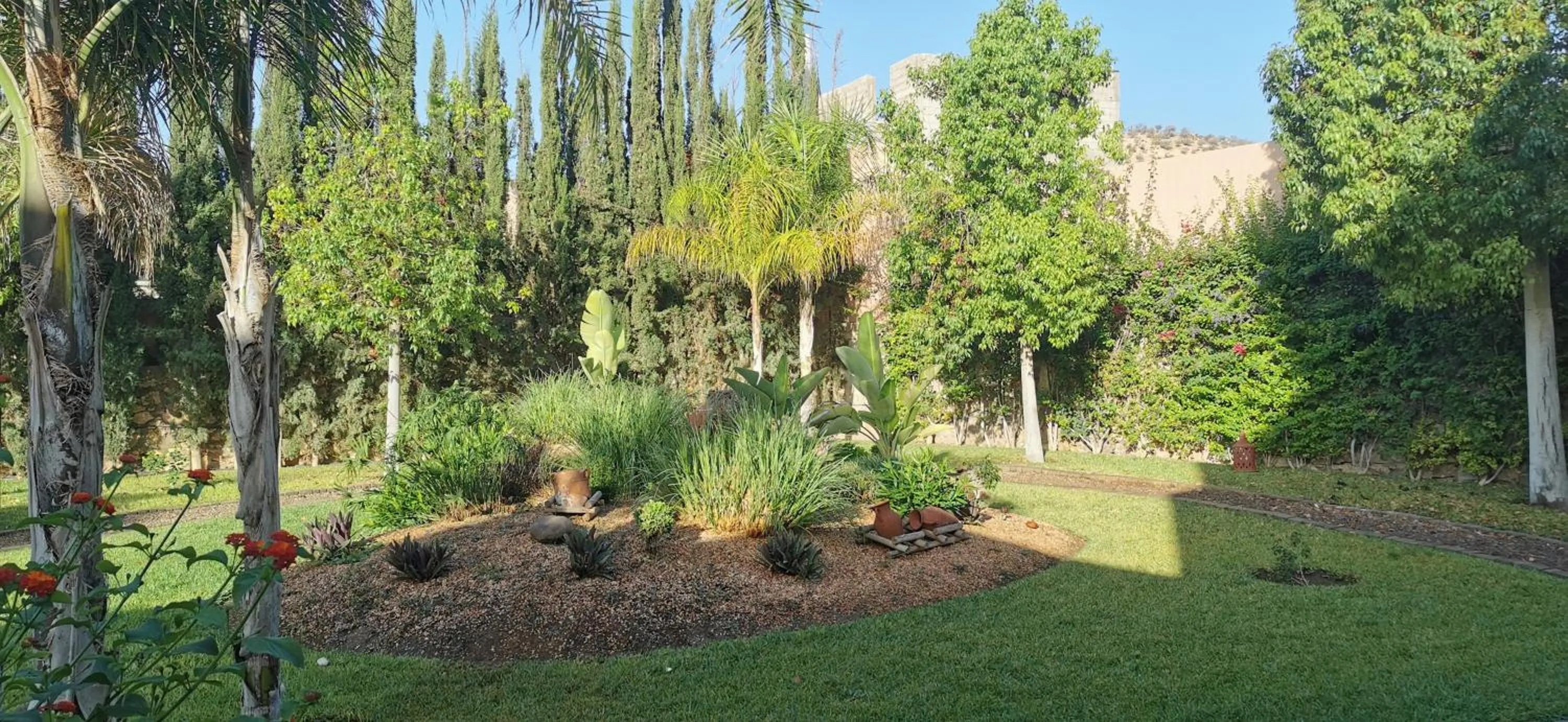 Garden in Riad Asmaa Agadir