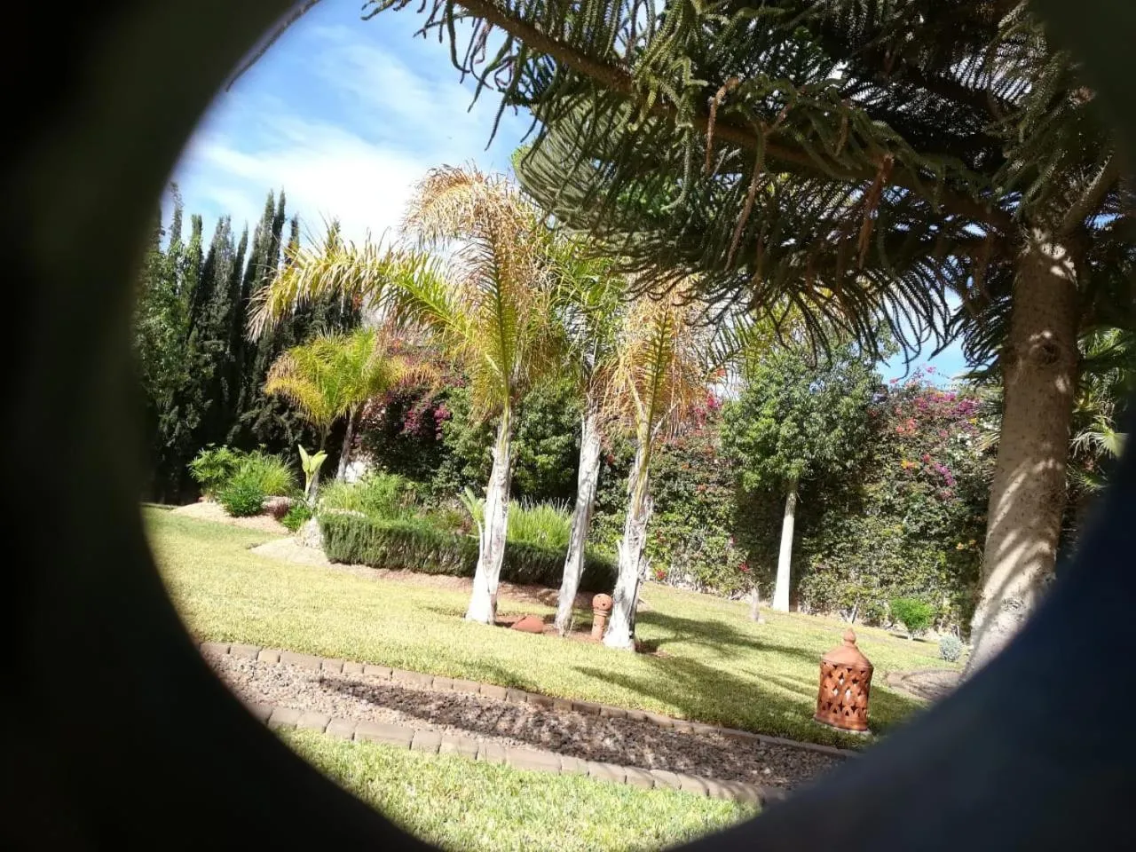 Garden view in Riad Asmaa Agadir
