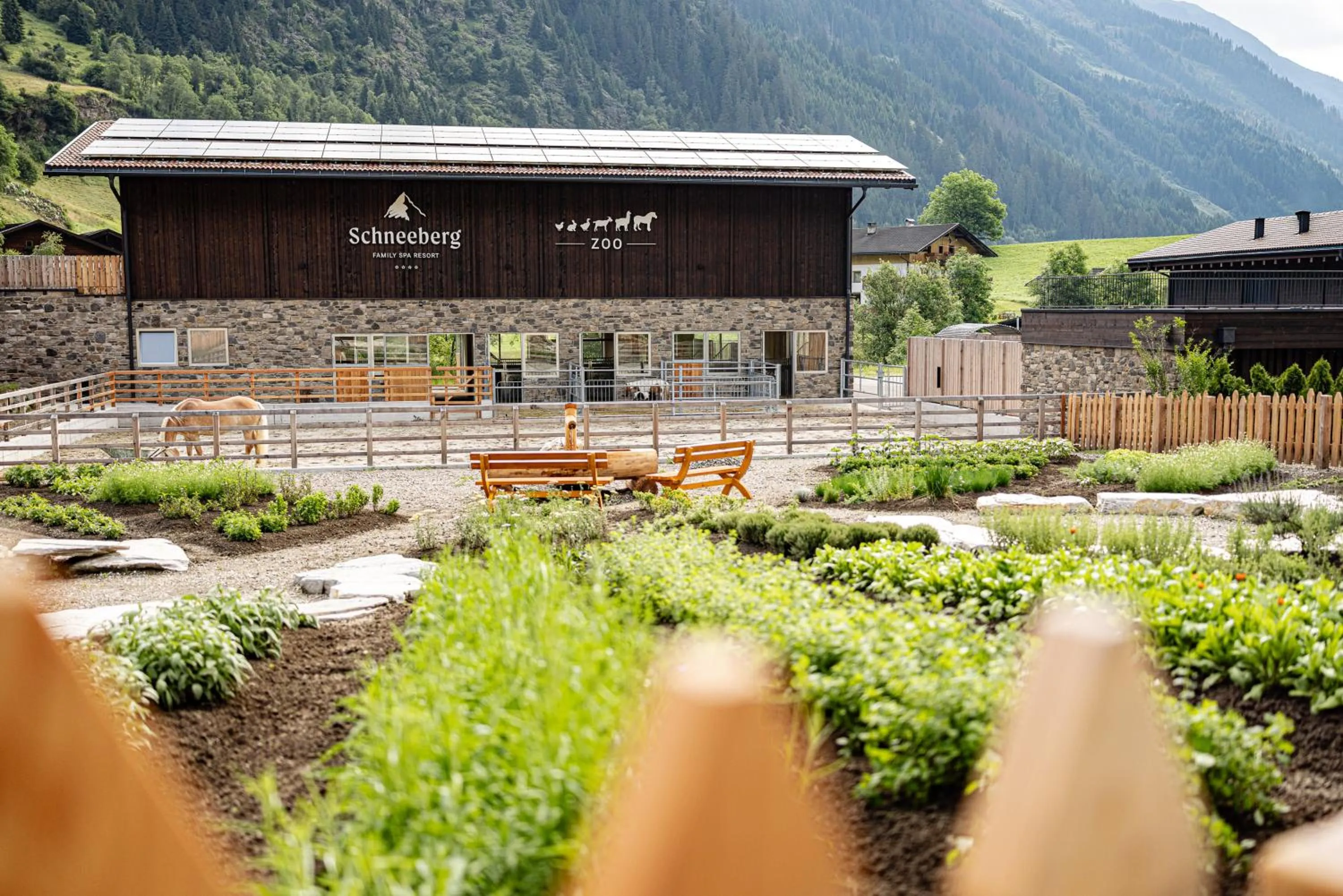 Hotel Schneeberg FAMILY SPA RESORT