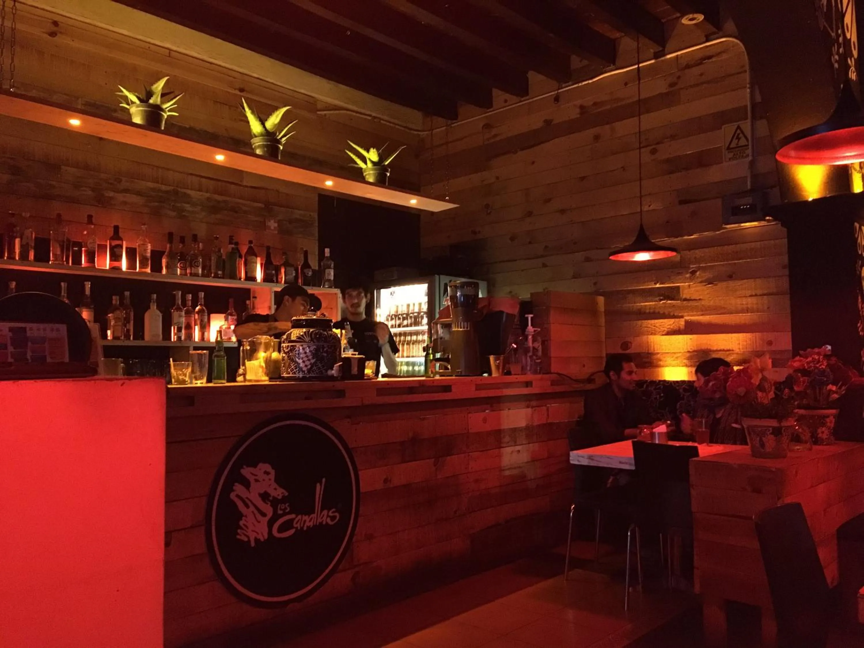 Hostal Regina Down Town Mexico City