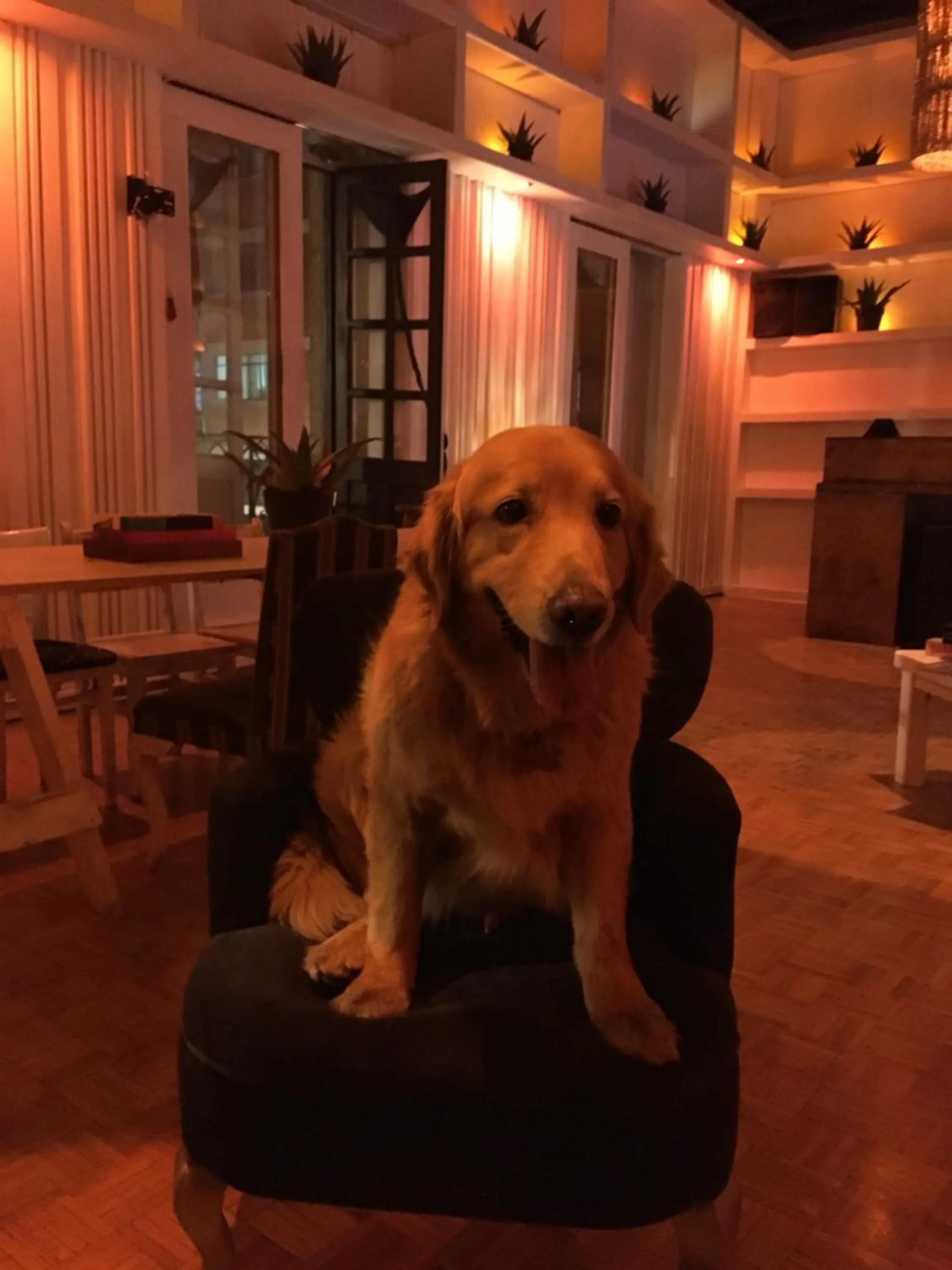 Hostal Regina Down Town Mexico City