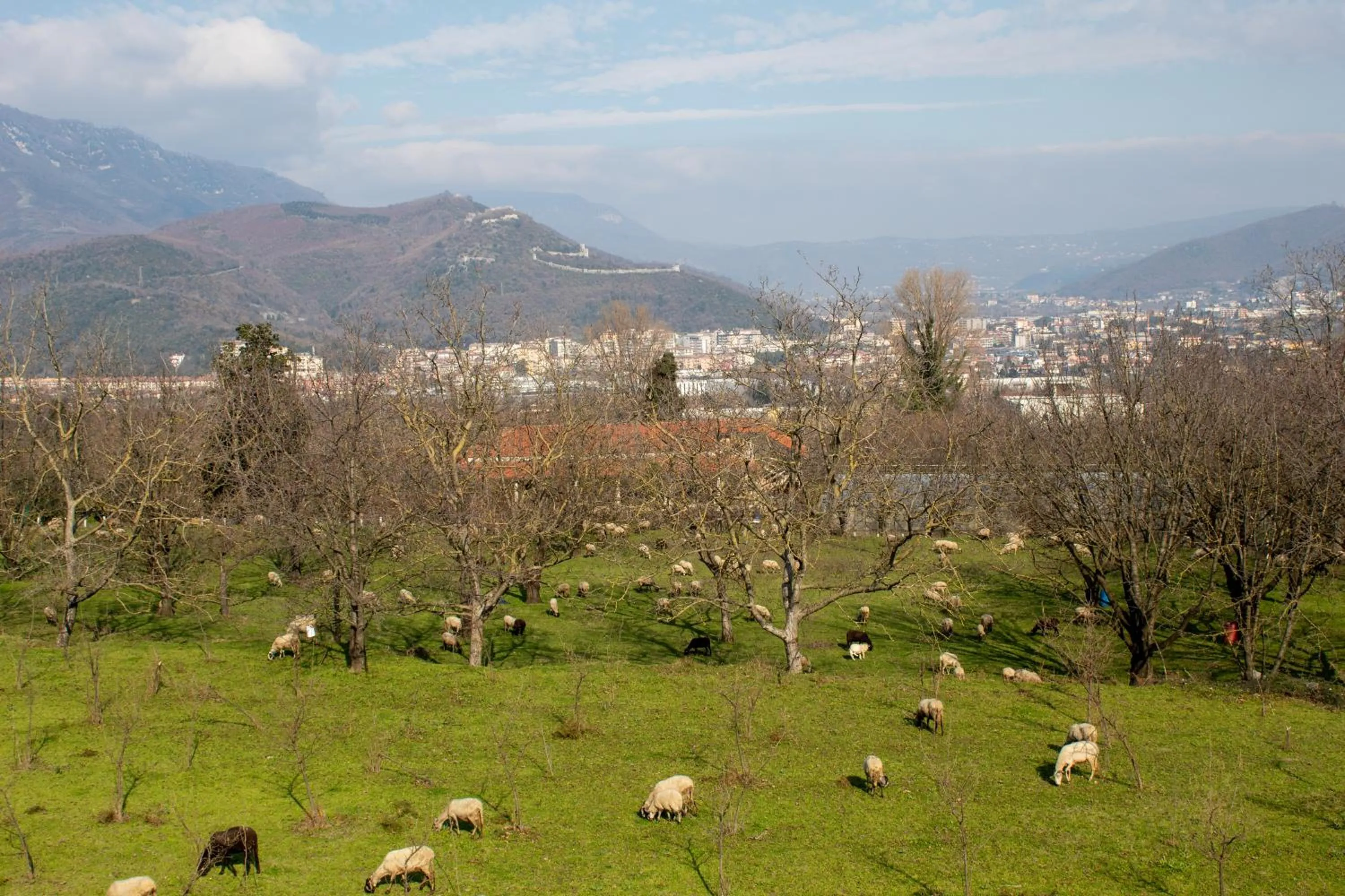 View (from property/room) in Caledonia B&B