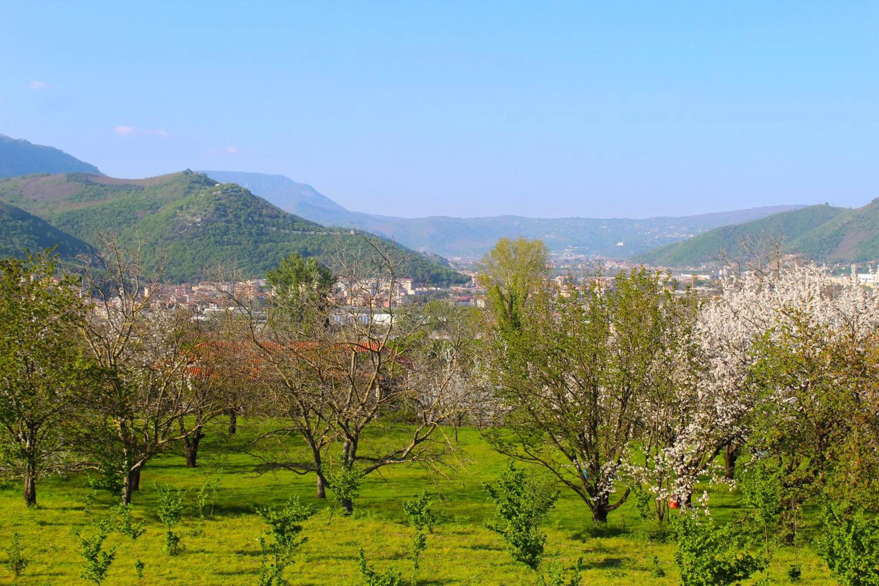 View (from property/room) in Caledonia B&B