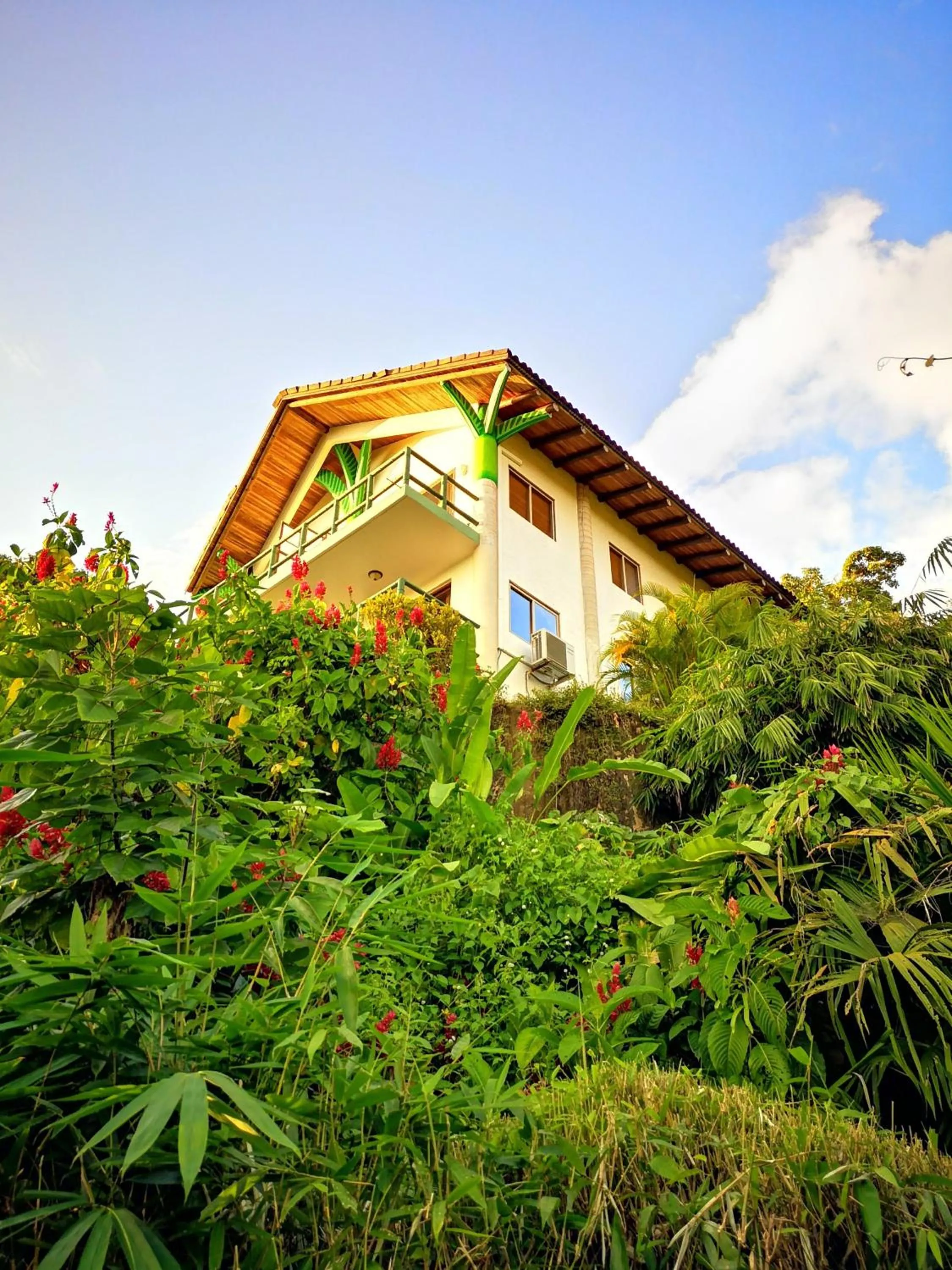 Garden view in Si Como No Resort & Wildlife Refuge