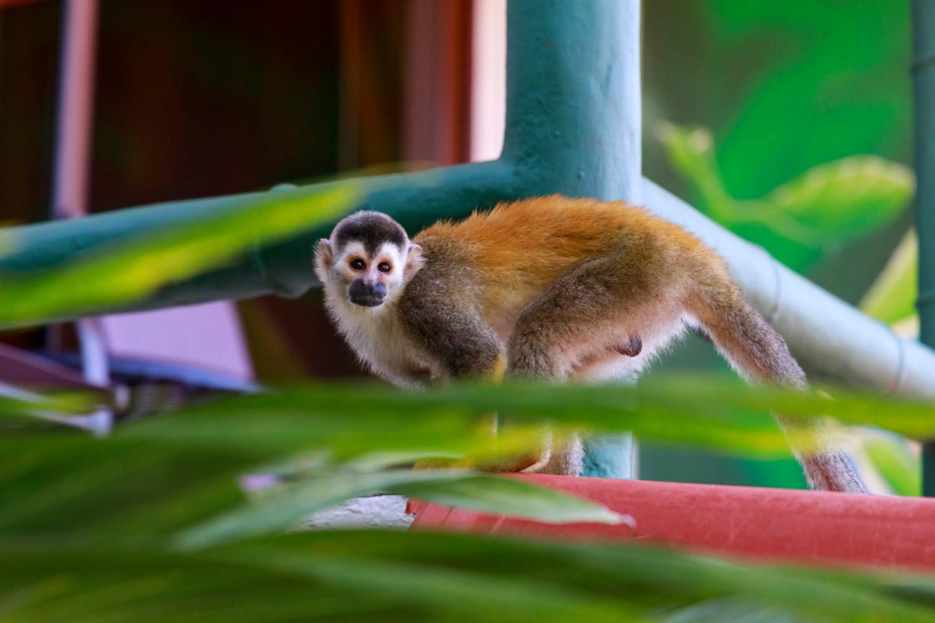 Natural landscape in Si Como No Resort & Wildlife Refuge