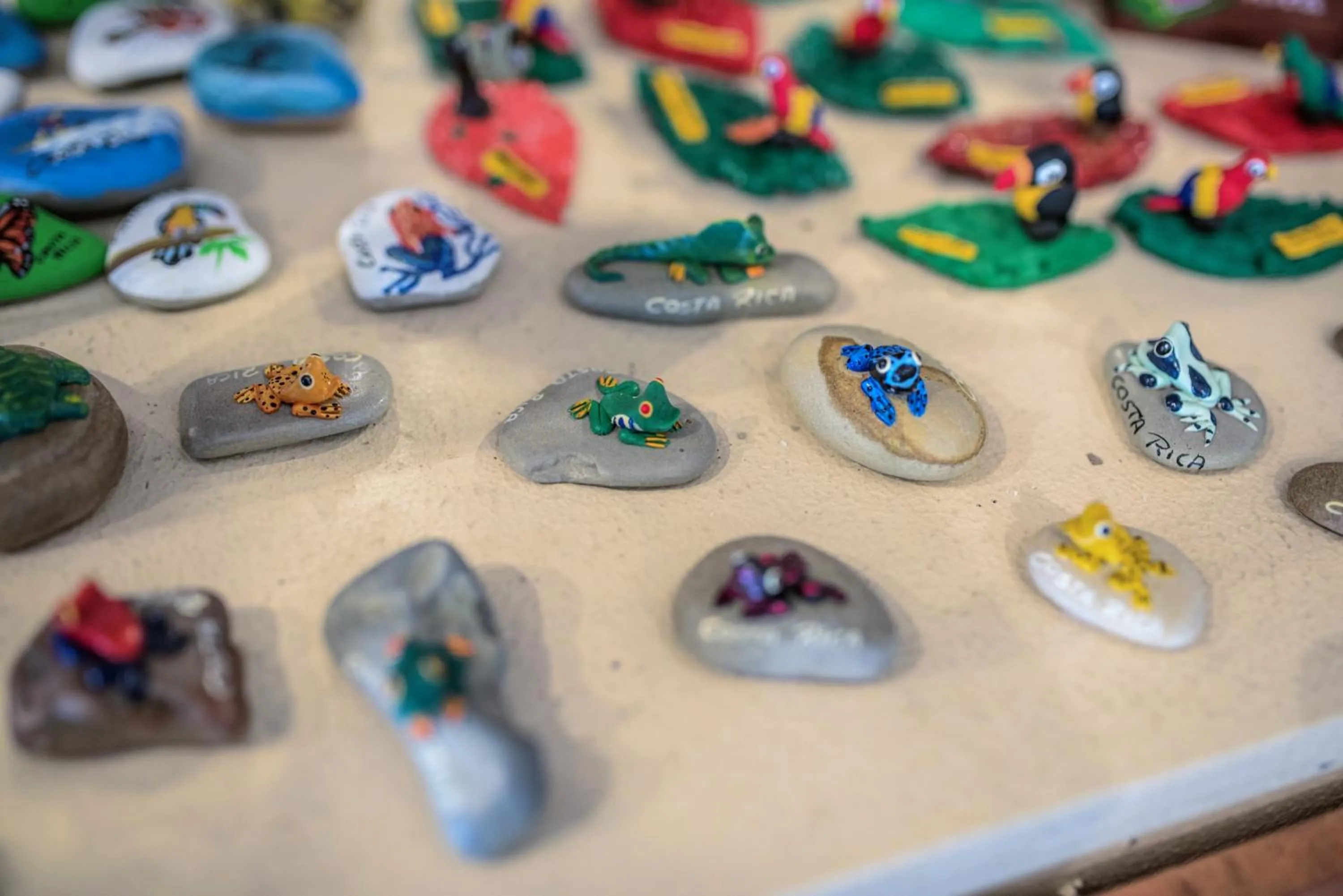 On-site shops in Si Como No Resort & Wildlife Refuge