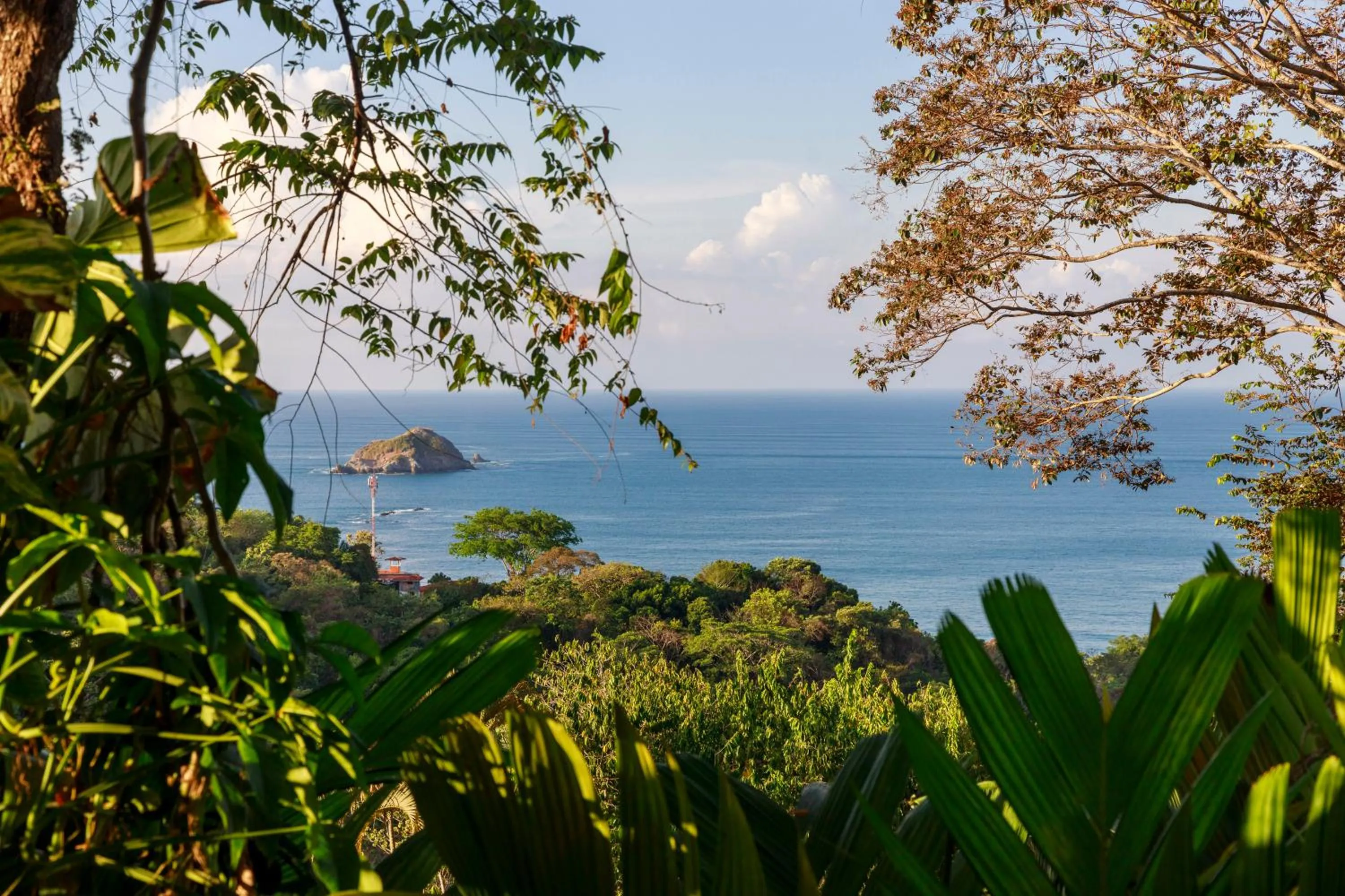 Spring in Si Como No Resort & Wildlife Refuge