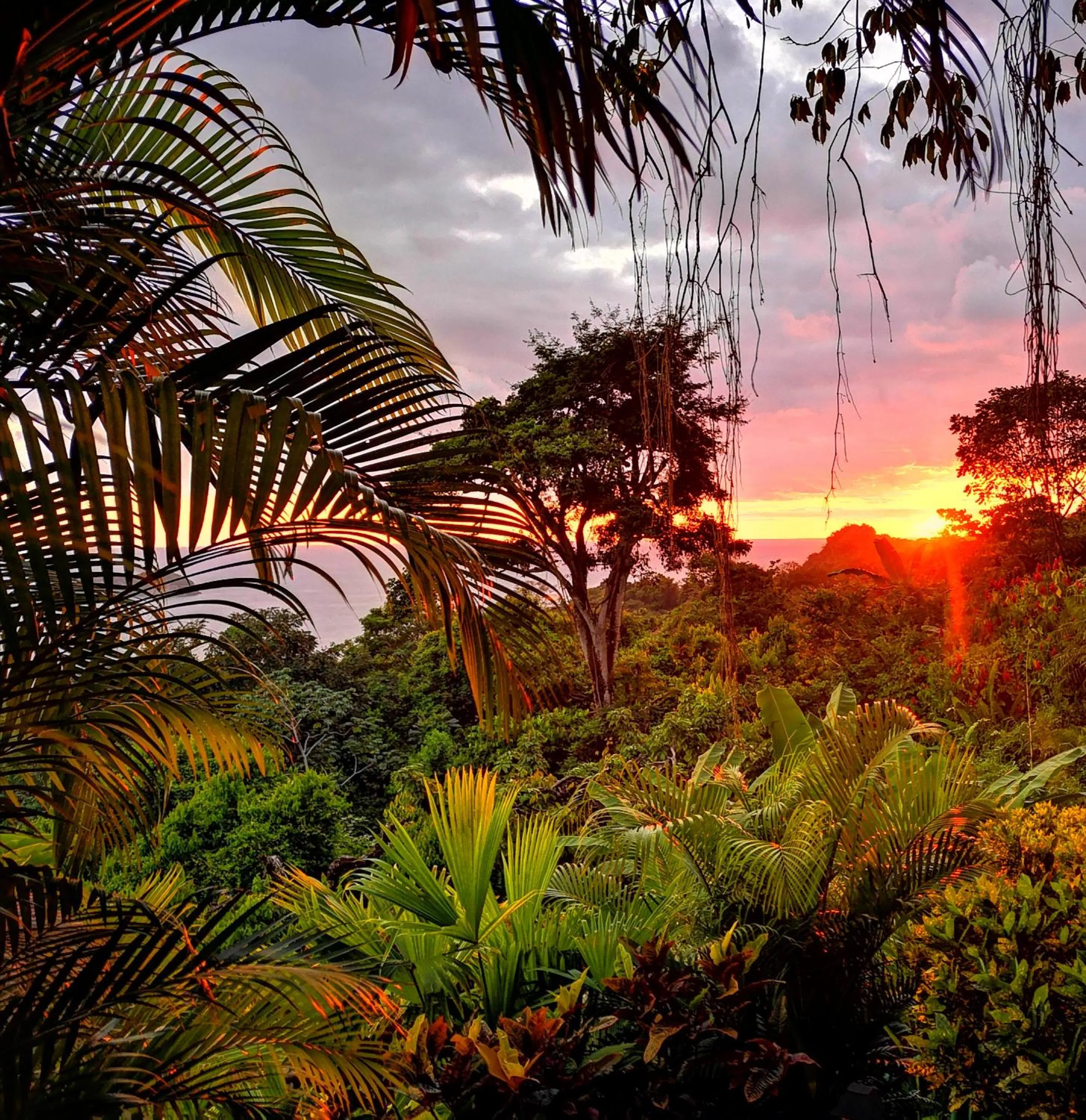 Natural landscape in Si Como No Resort & Wildlife Refuge