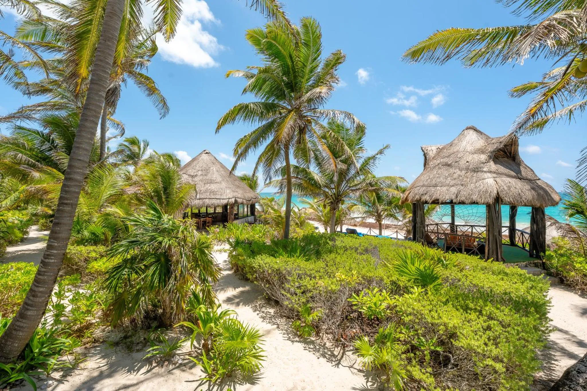 Garden in Sol Caribe