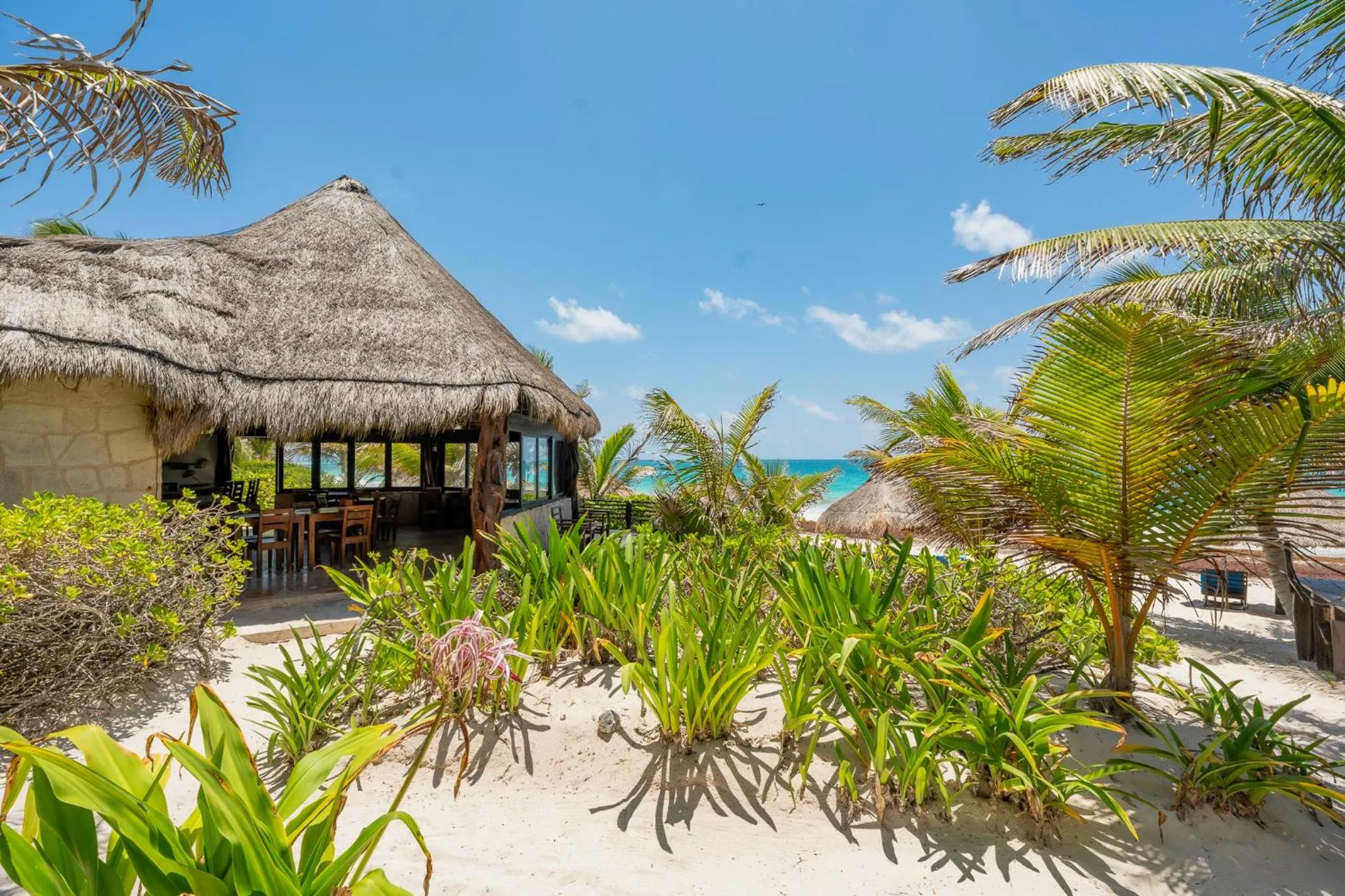 Restaurant/places to eat in Sol Caribe