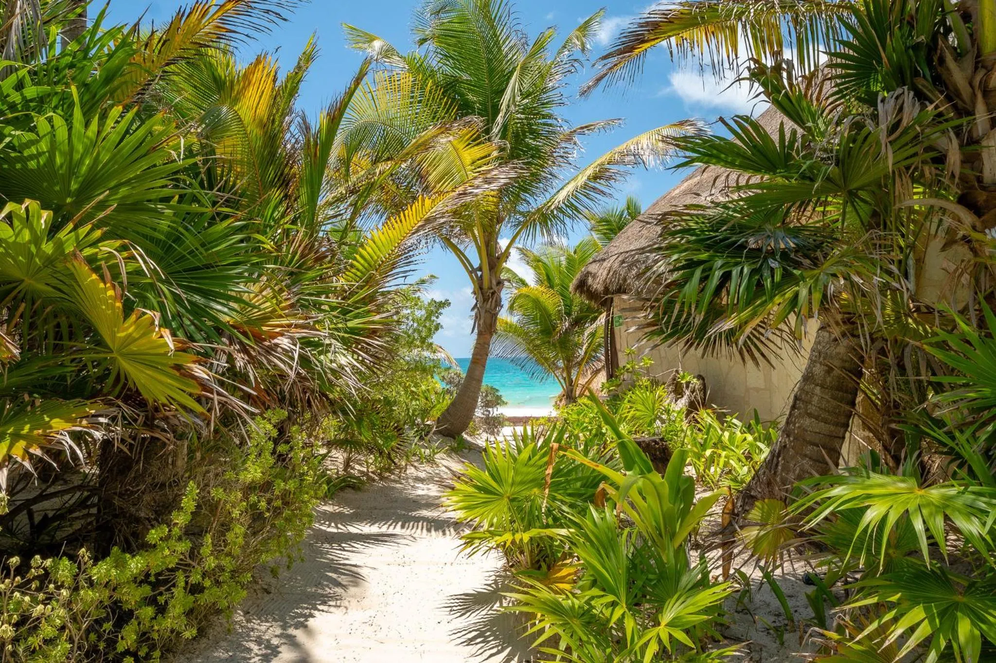 Garden in Sol Caribe