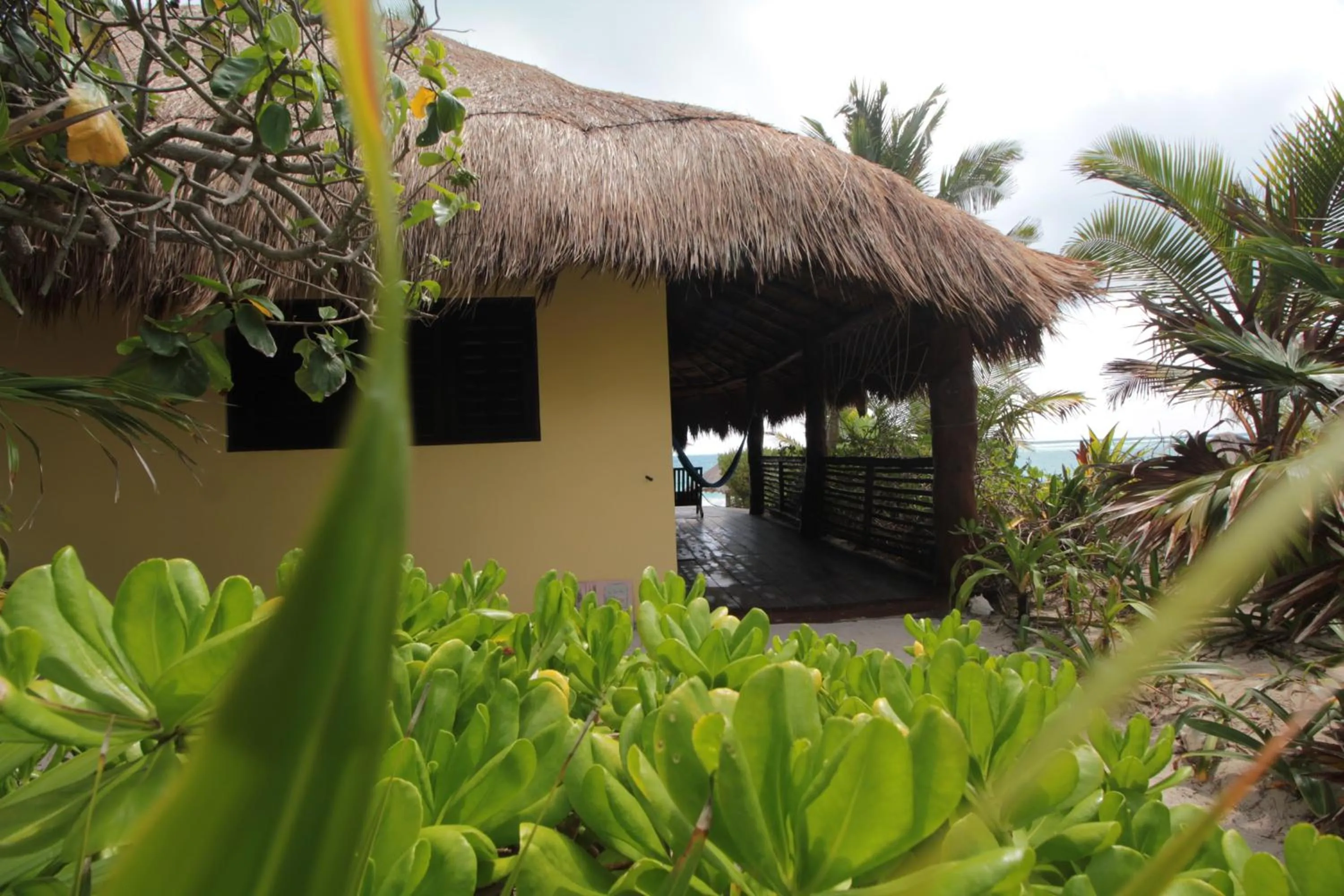 Facade/entrance in Sol Caribe