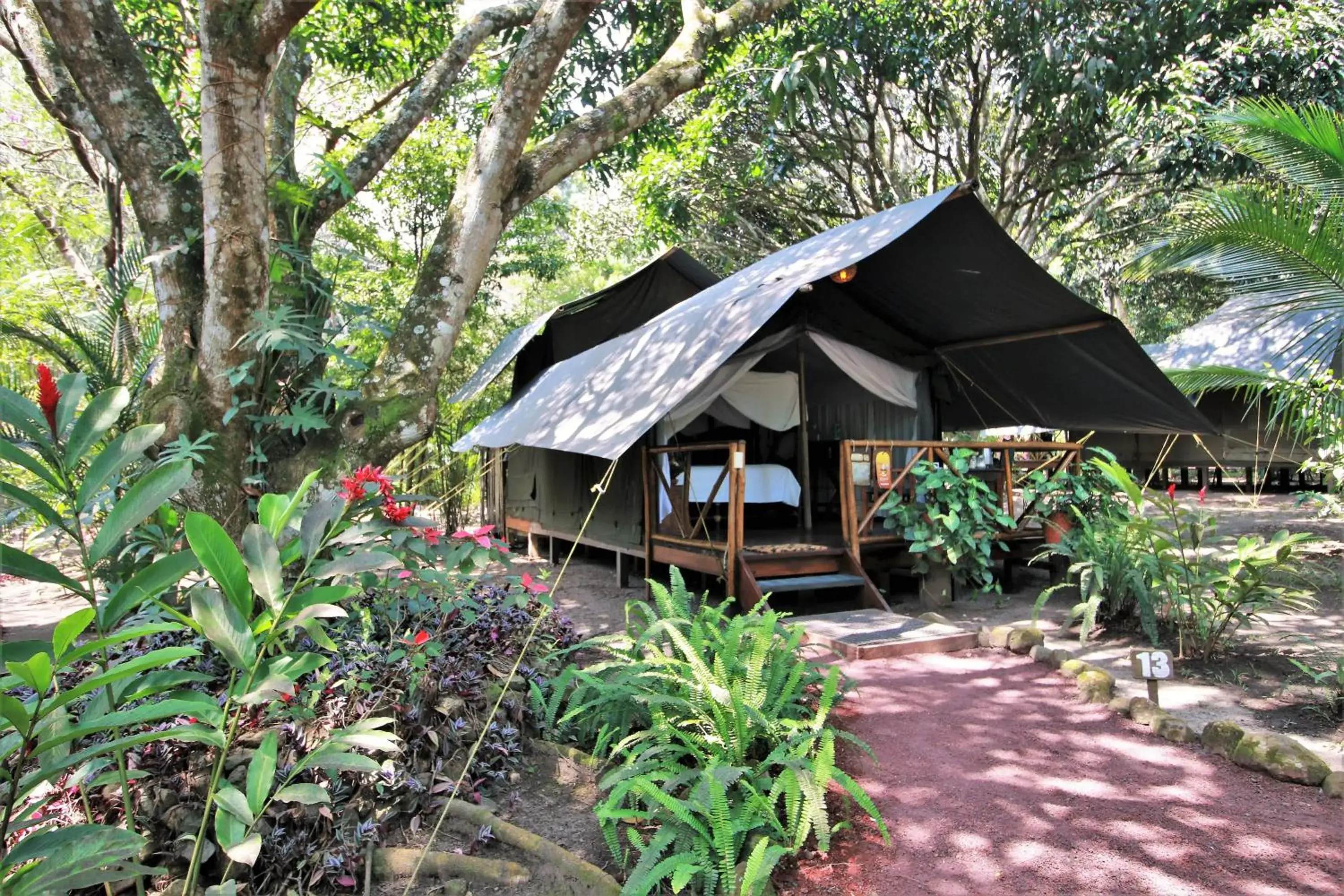 King Suite in Expediciones Mexico Verde King Suite in Expediciones Mexico Verde