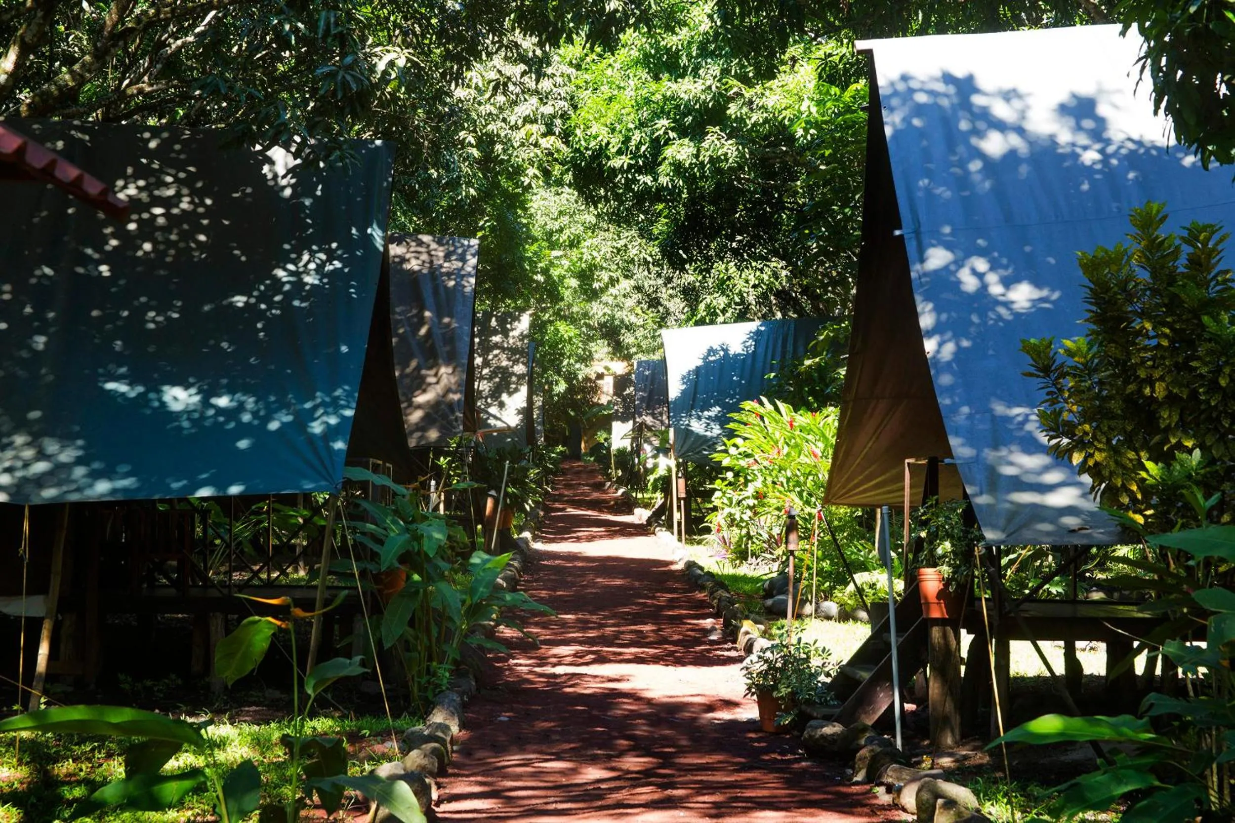 Standard Quadruple Room in Expediciones Mexico Verde