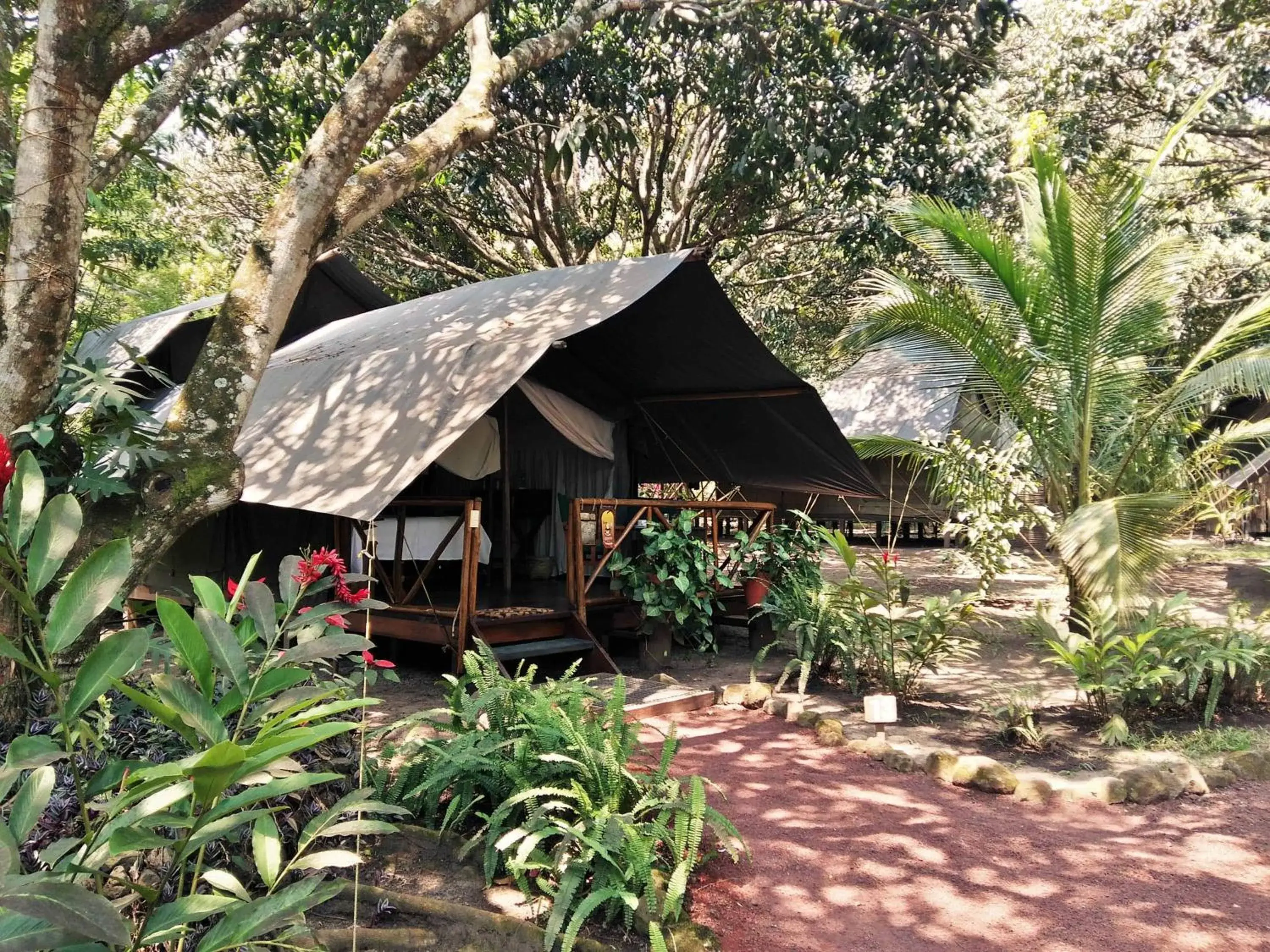 Double Room with Private Bathroom in Expediciones Mexico Verde Double Room with Private Bathroom in Expediciones Mexico Verde