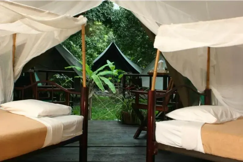 Double Room in Expediciones Mexico Verde Double Room in Expediciones Mexico Verde