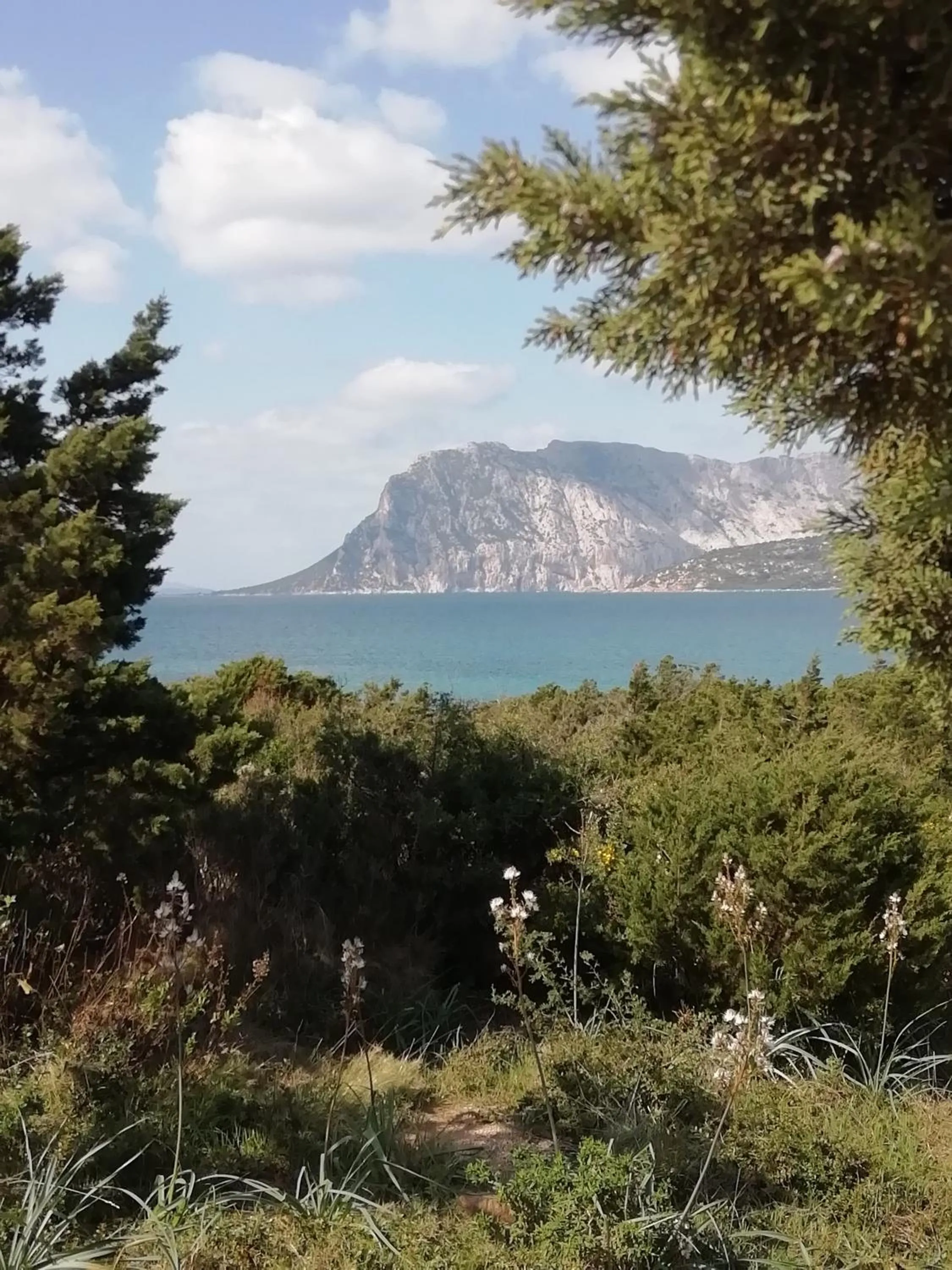 Natural landscape in Frina di Mari b&b