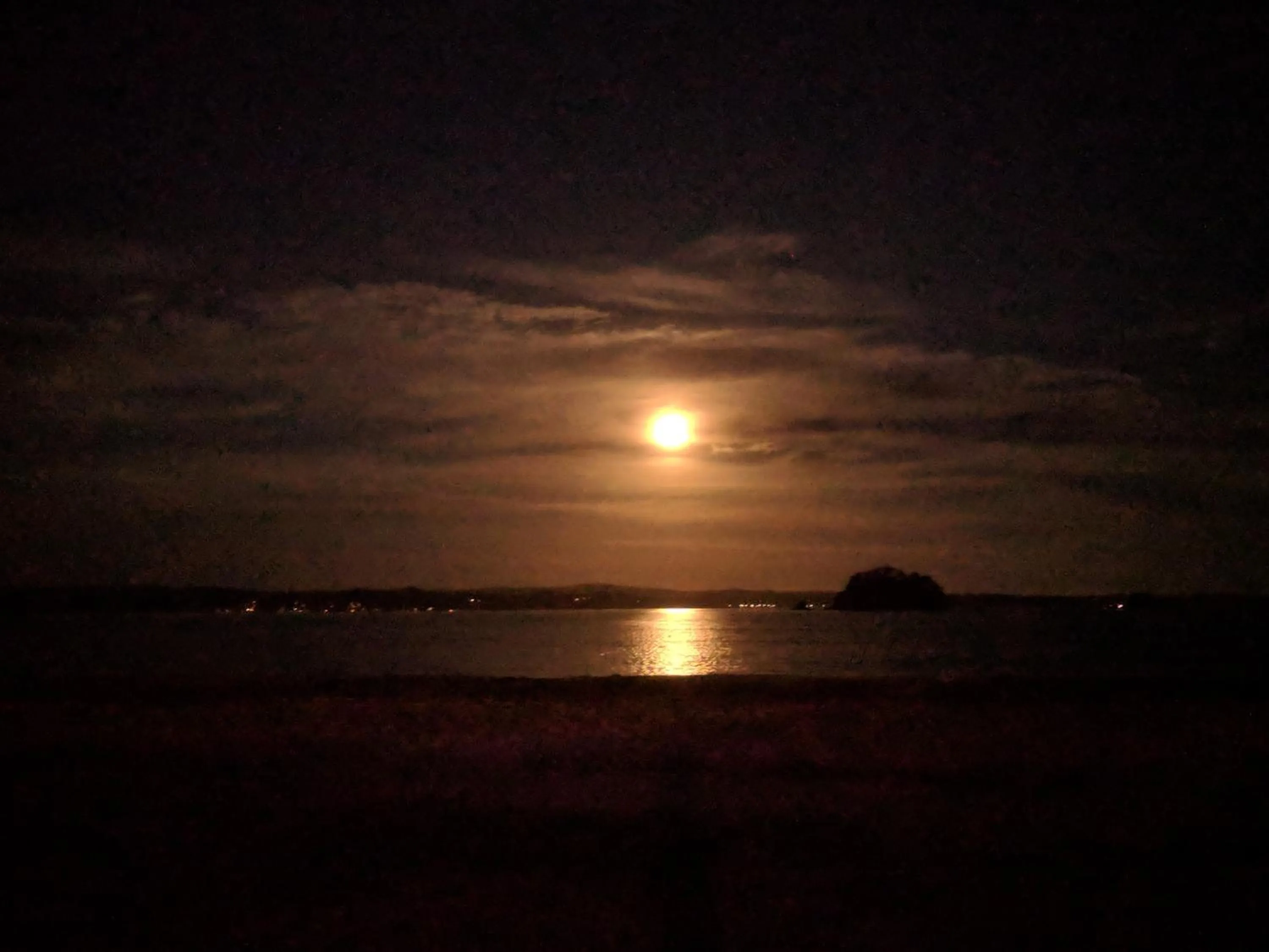 Night in Araluen Motor Lodge