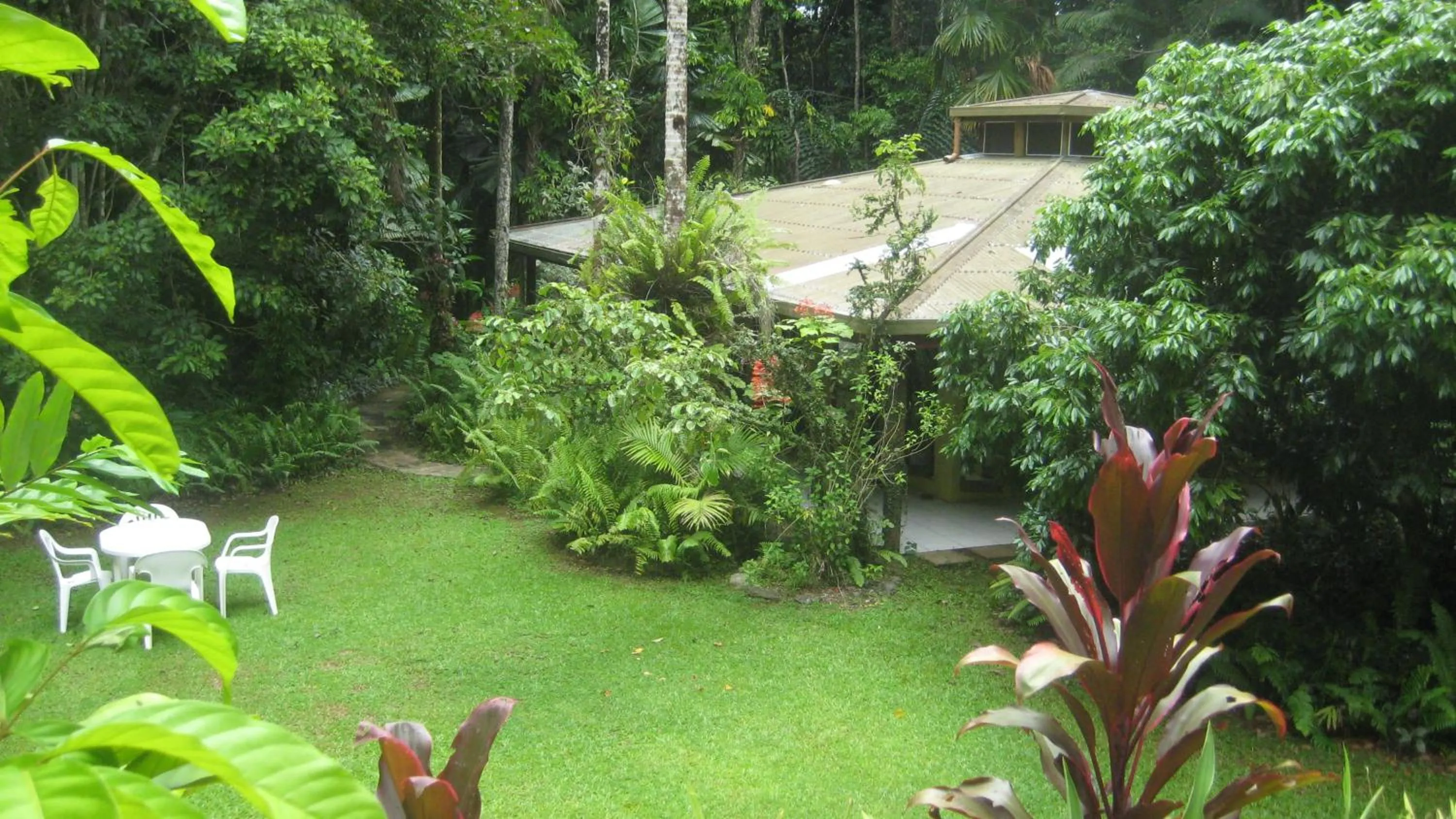 Daintree Deep Forest Lodge