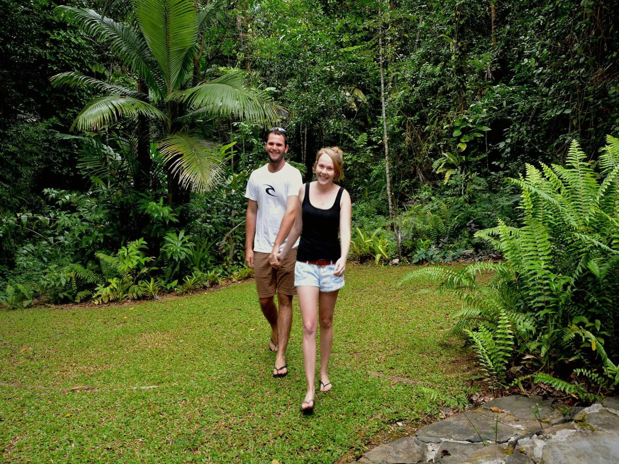 Garden in Daintree Deep Forest Lodge