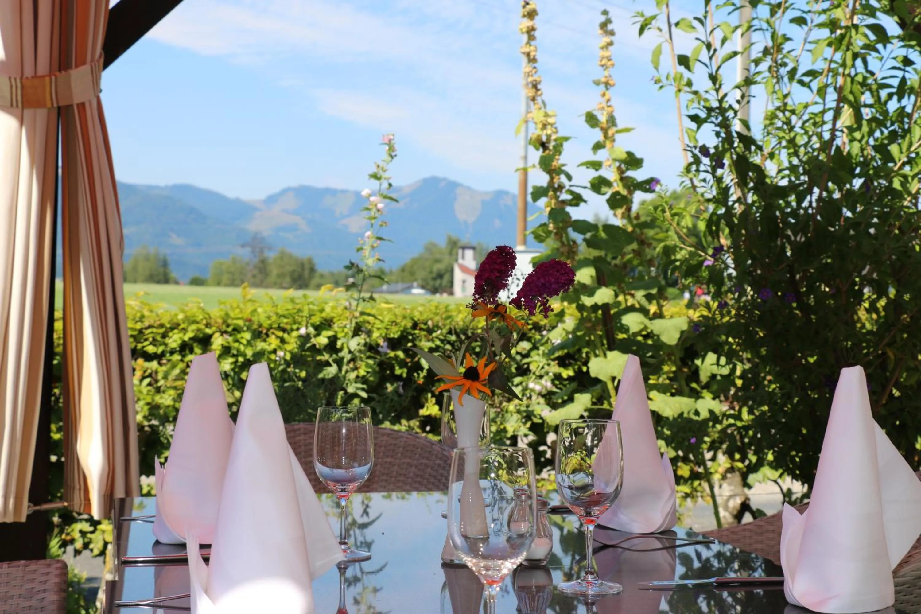 Garden view in Gasthof Weissenbach