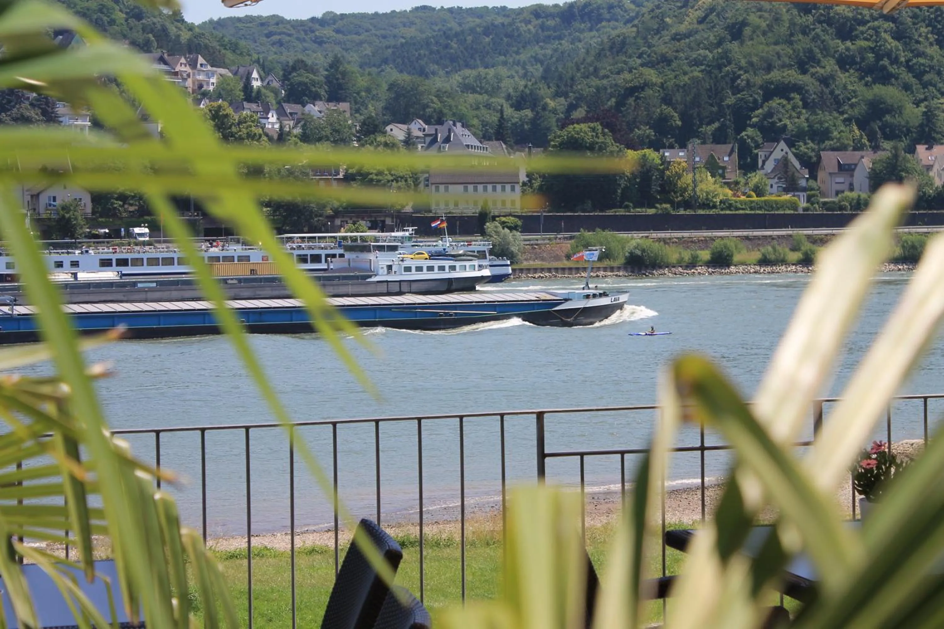 River view in RheinHotel ARTE