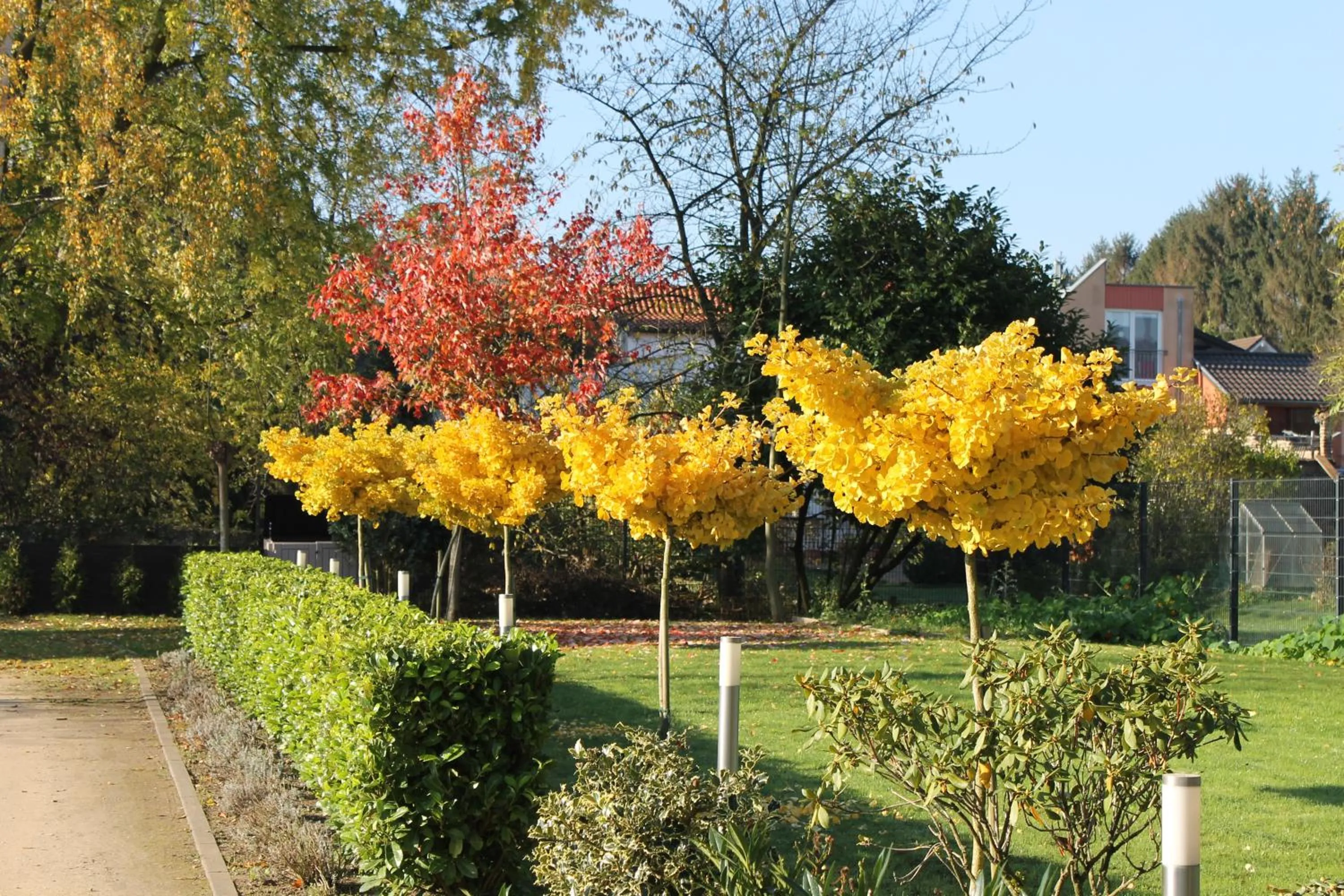 Day in RheinHotel ARTE