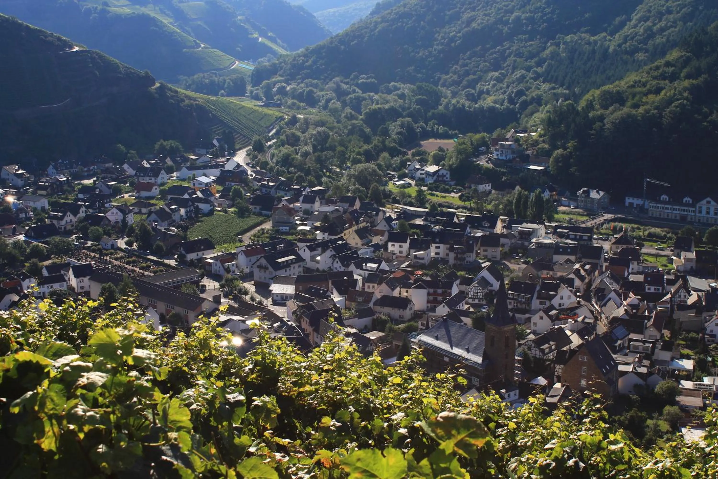 View (from property/room) in RheinHotel ARTE