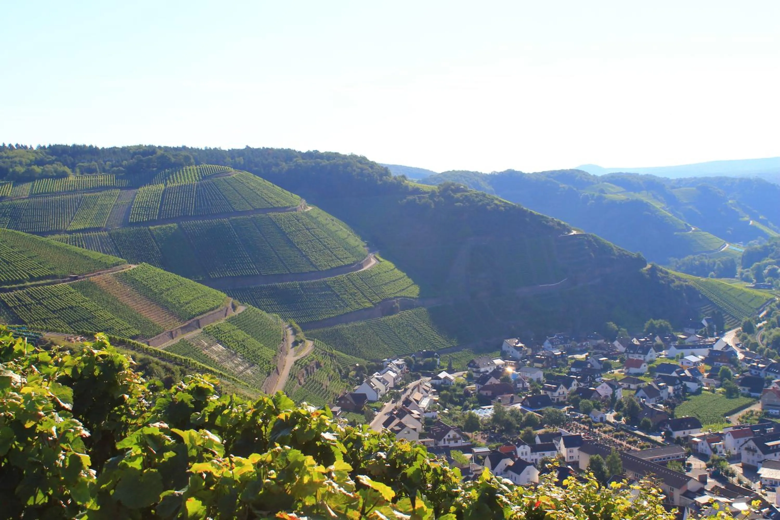 View (from property/room) in RheinHotel ARTE