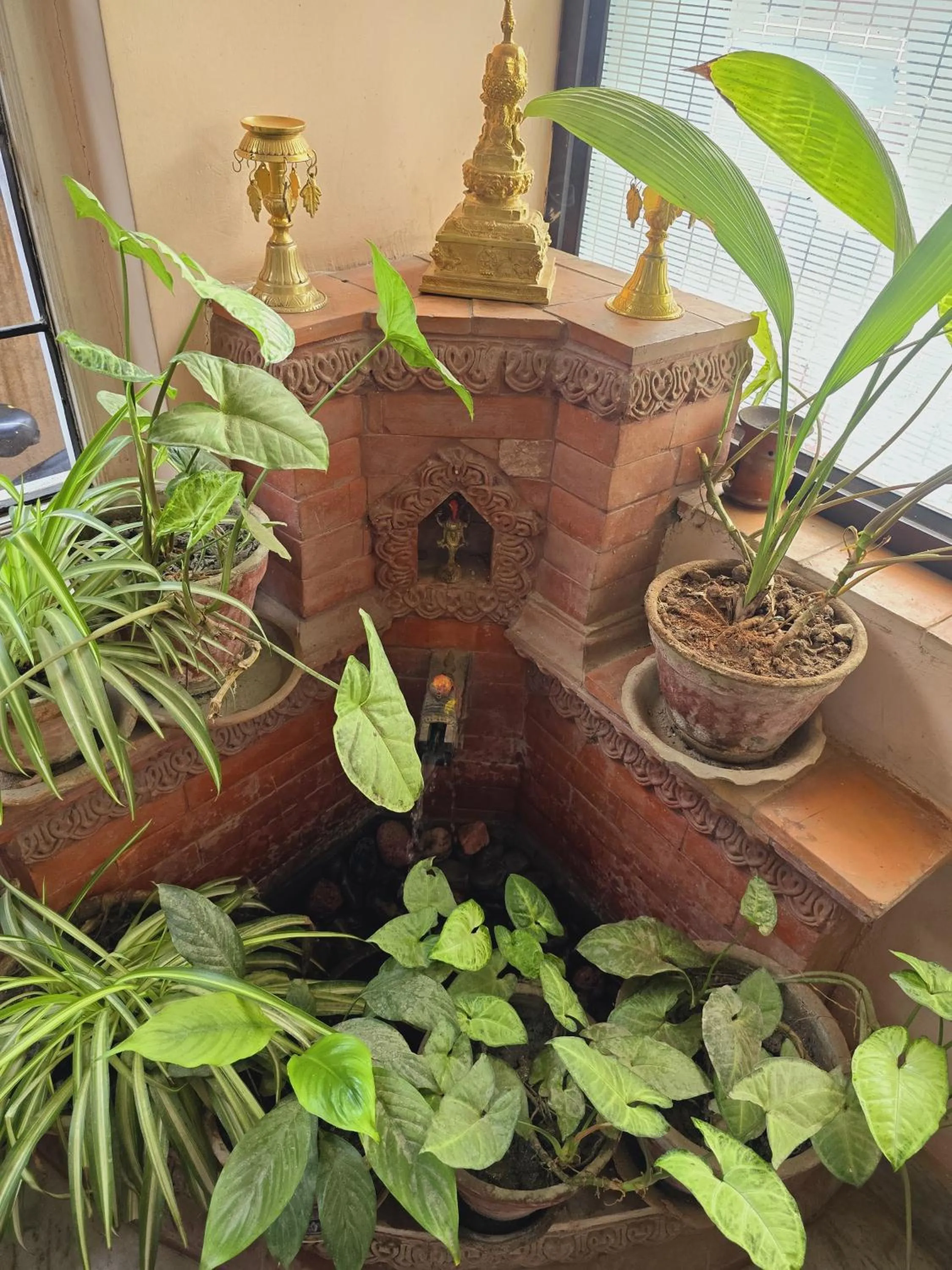 Garden view in Cascade Hotel Kathmandu