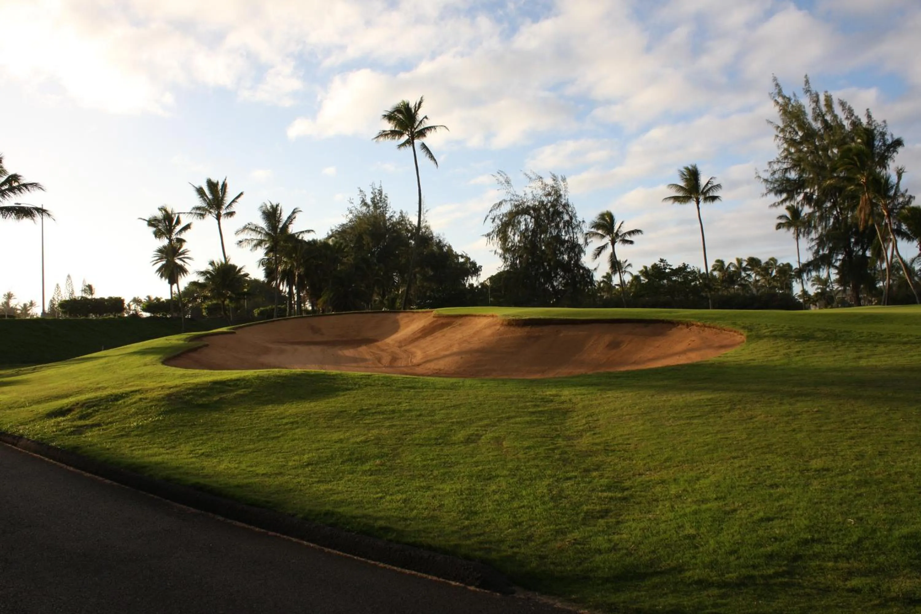 Golfcourse in The Turtle Bay Signature