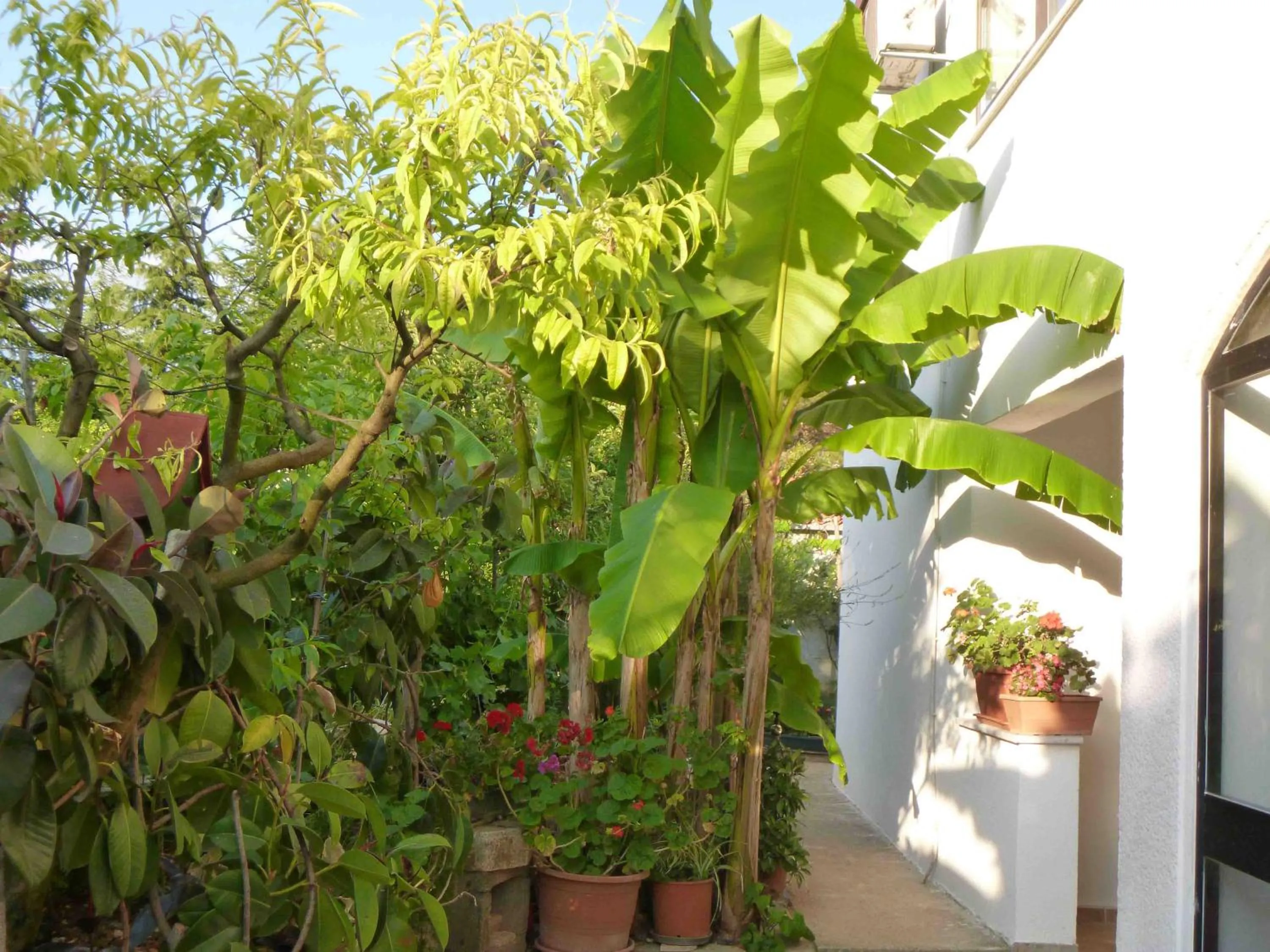Angelo apartment, in the quiet part of Porec