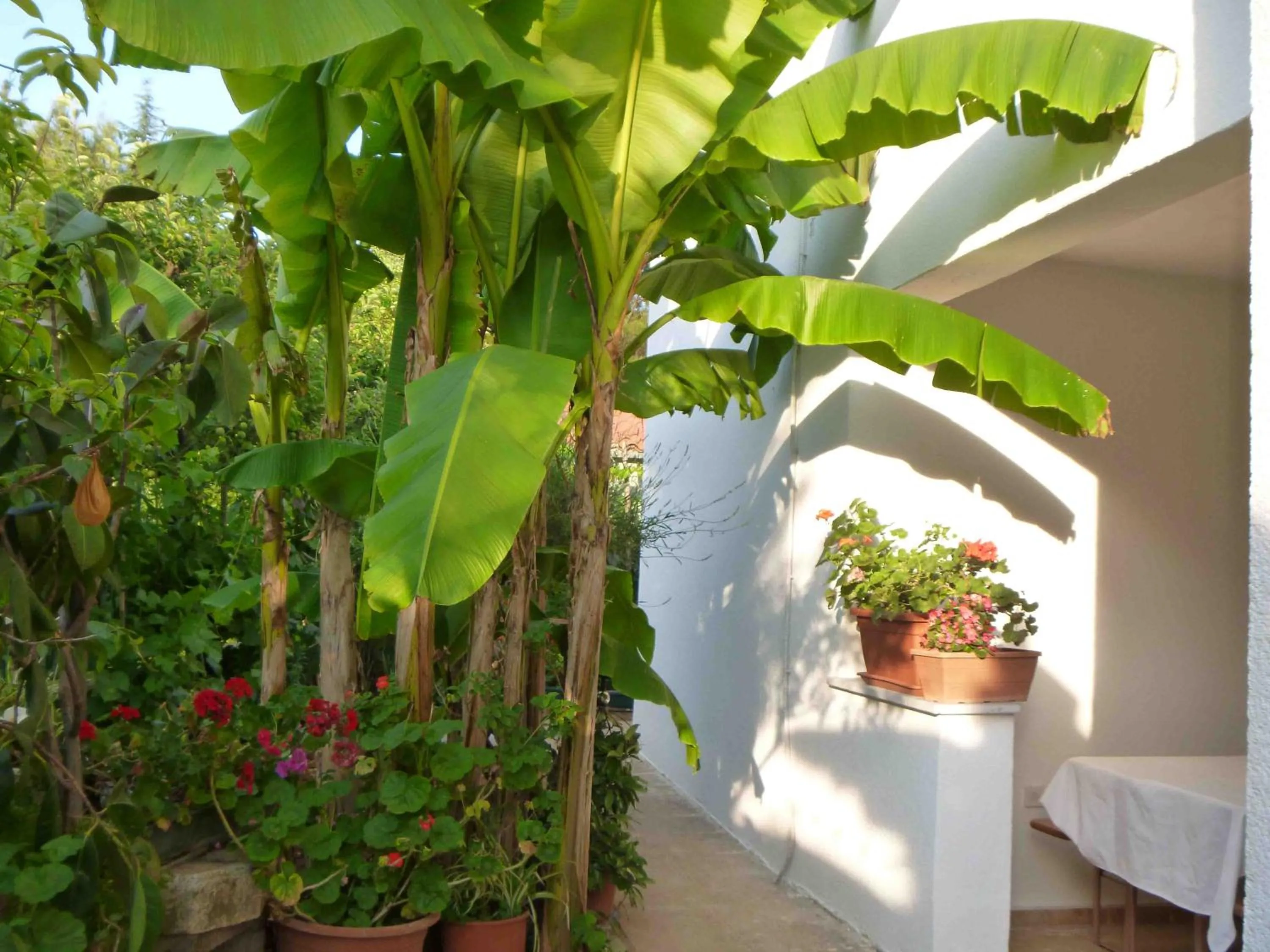 Angelo apartment, in the quiet part of Porec