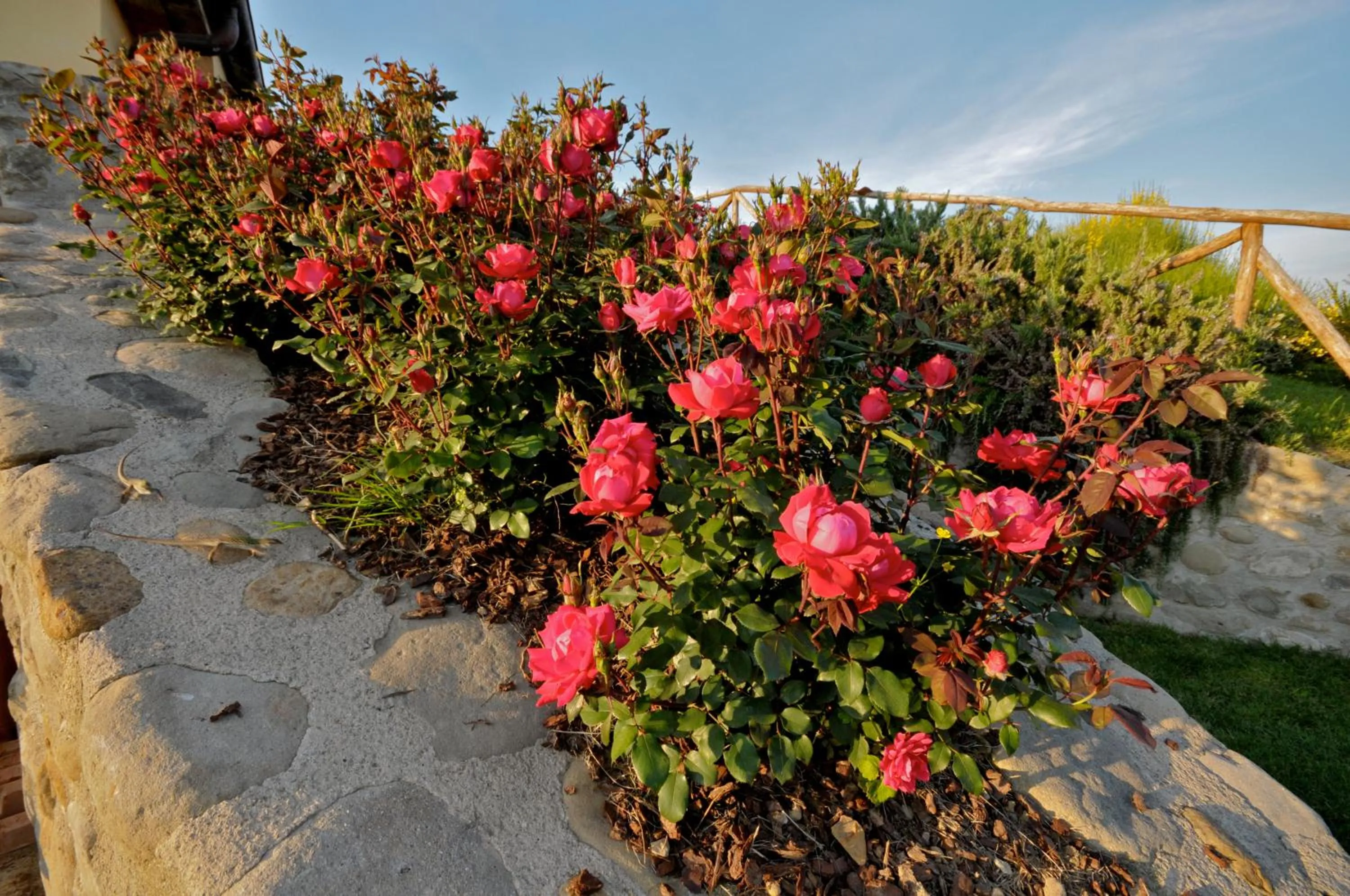 Garden in Agriturismo San Rocco