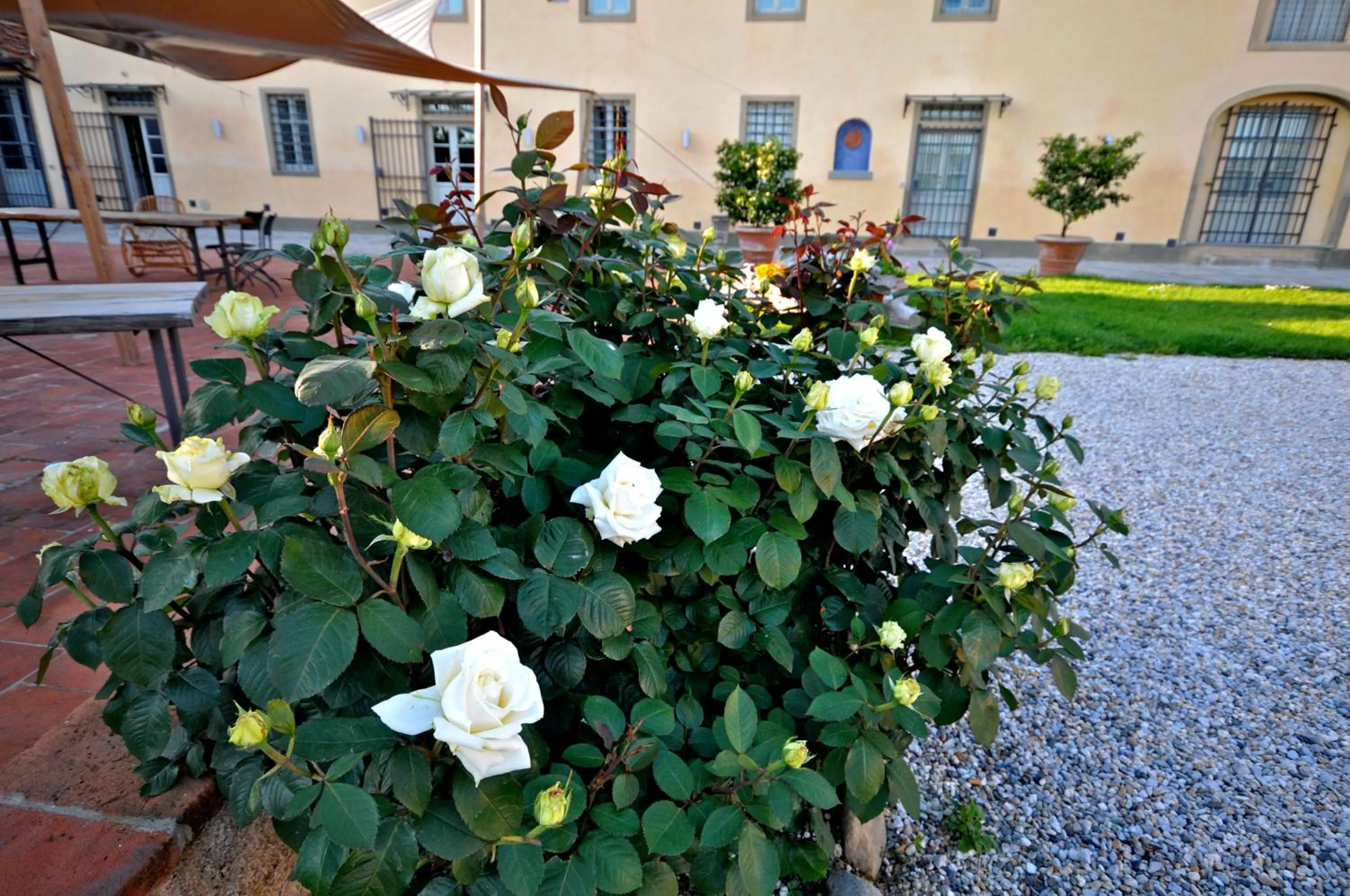 Garden in Agriturismo San Rocco