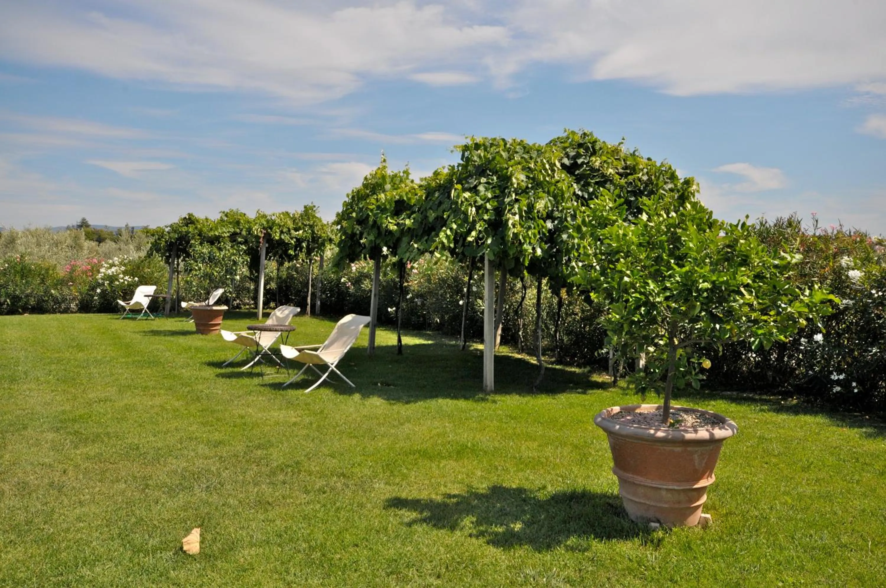 Garden in Agriturismo San Rocco