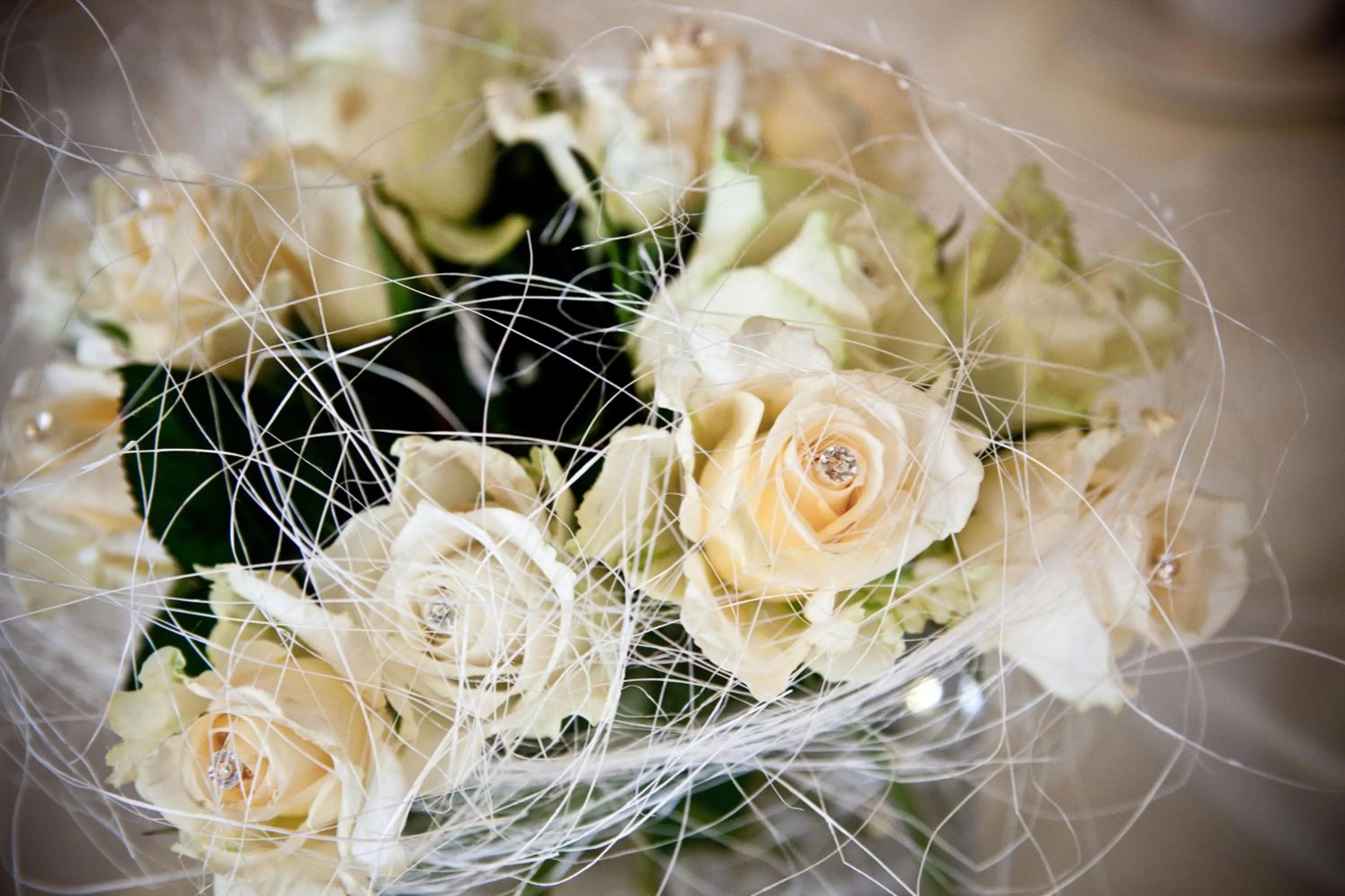 Restaurant/places to eat in Hotel Rodan